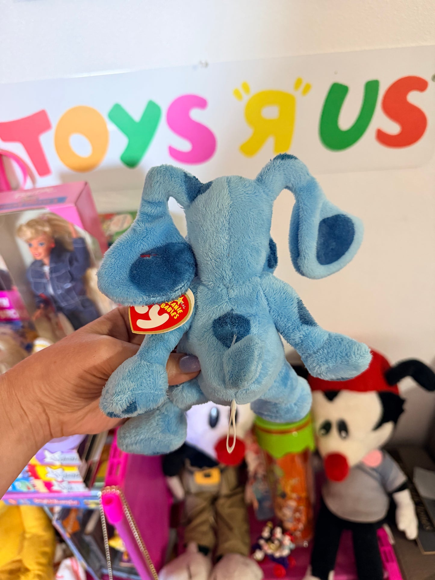Blues clues Blue Ty Beanie Baby