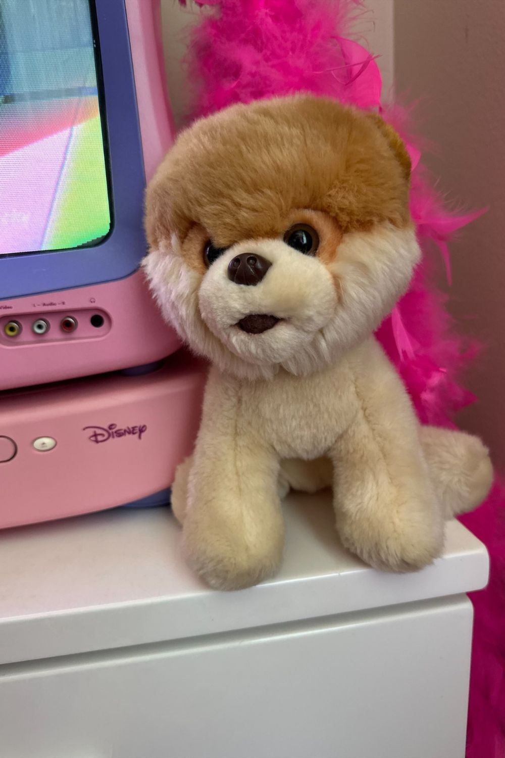 Cutest Dog Plush Toy Pomeranian Puppy