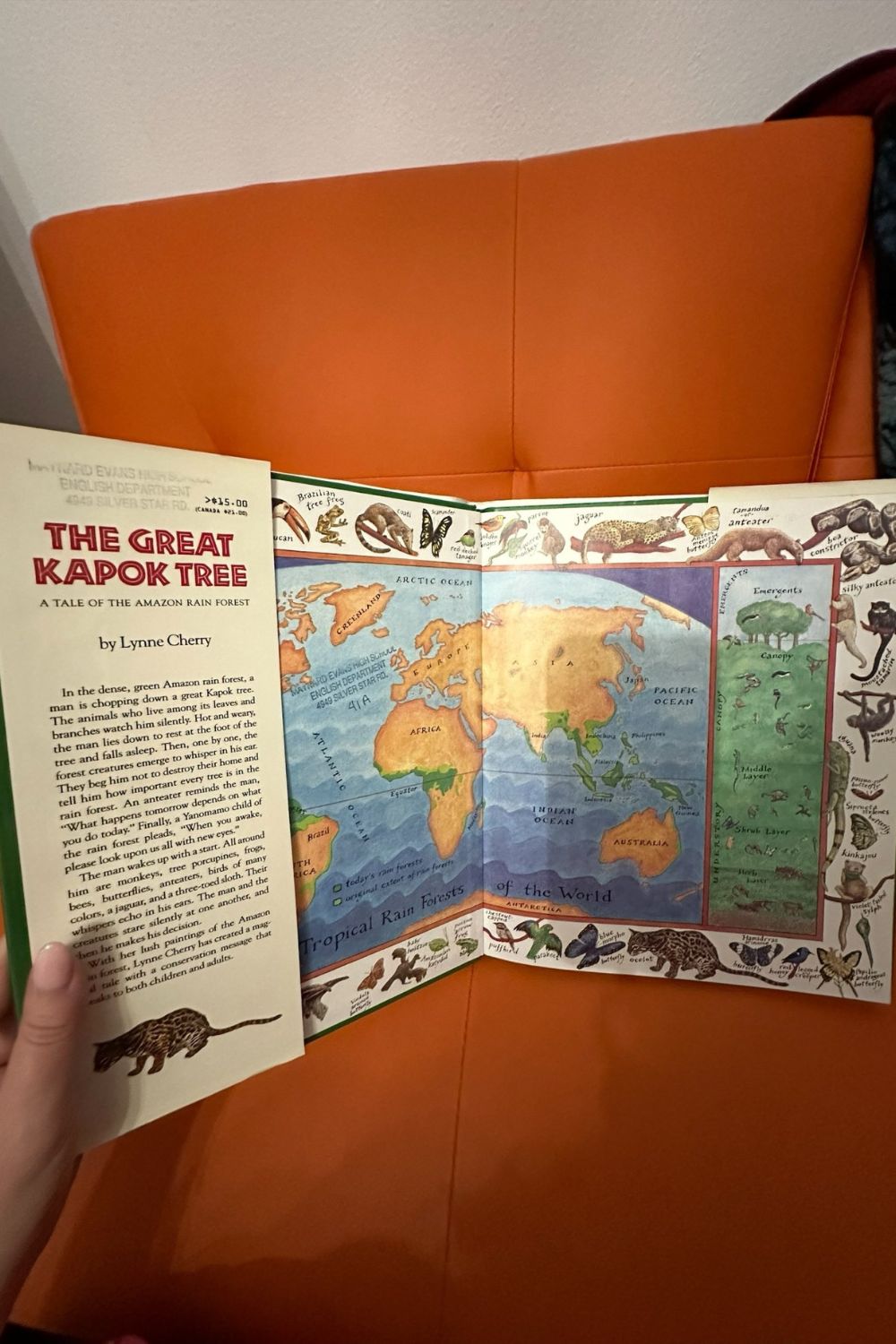 THE GREAT KAPOK TREE BOOK*