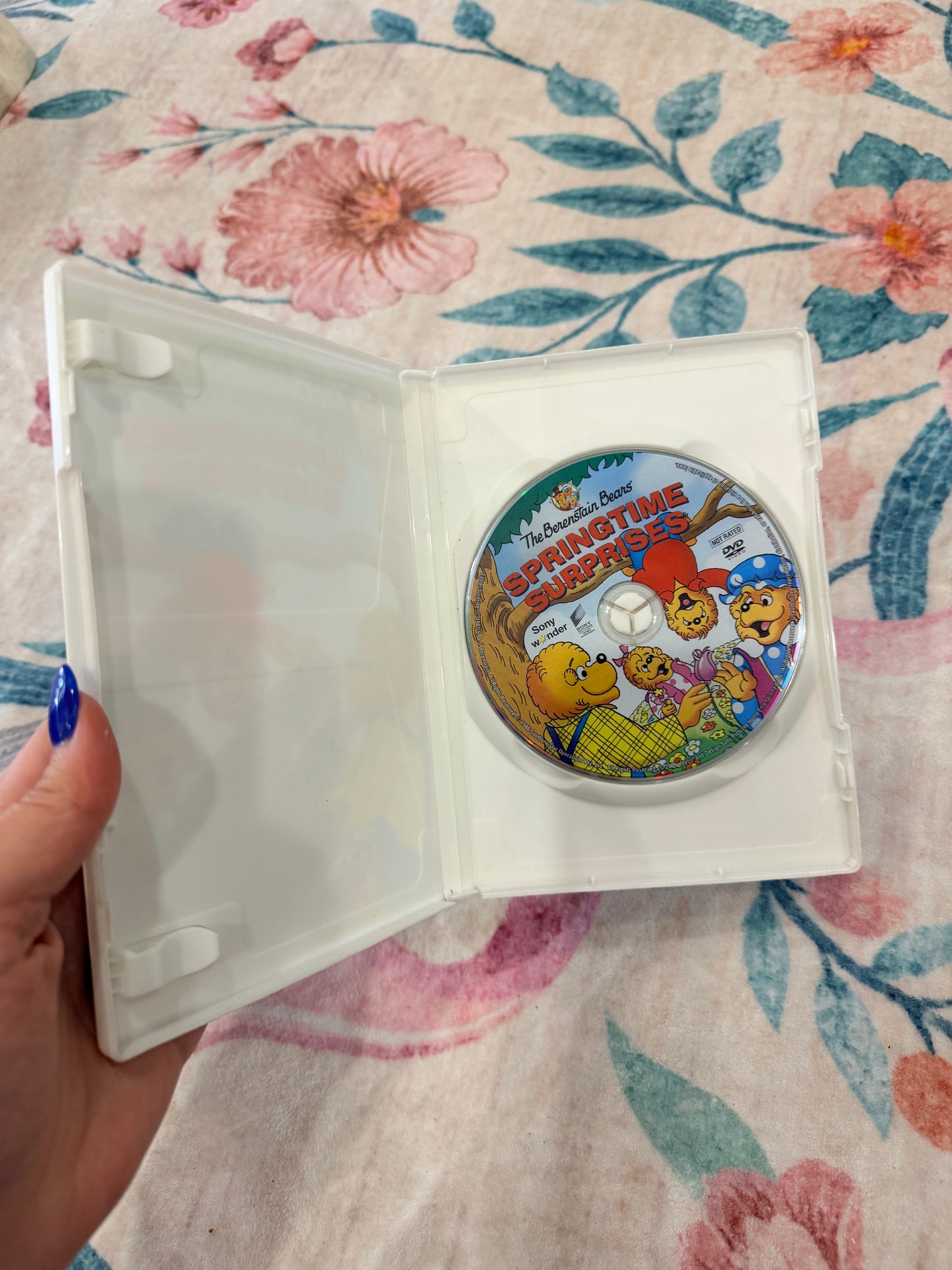Berenstain bears springtime surprises dvd
