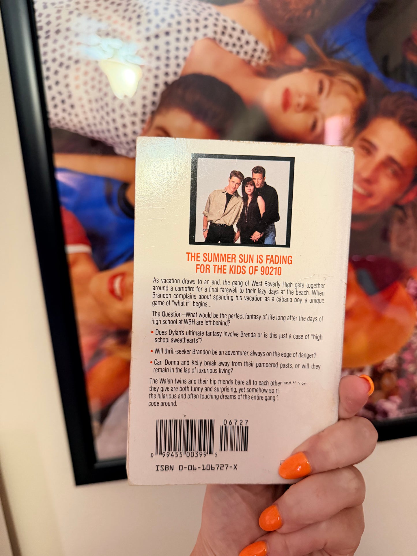90210 fantasies book
