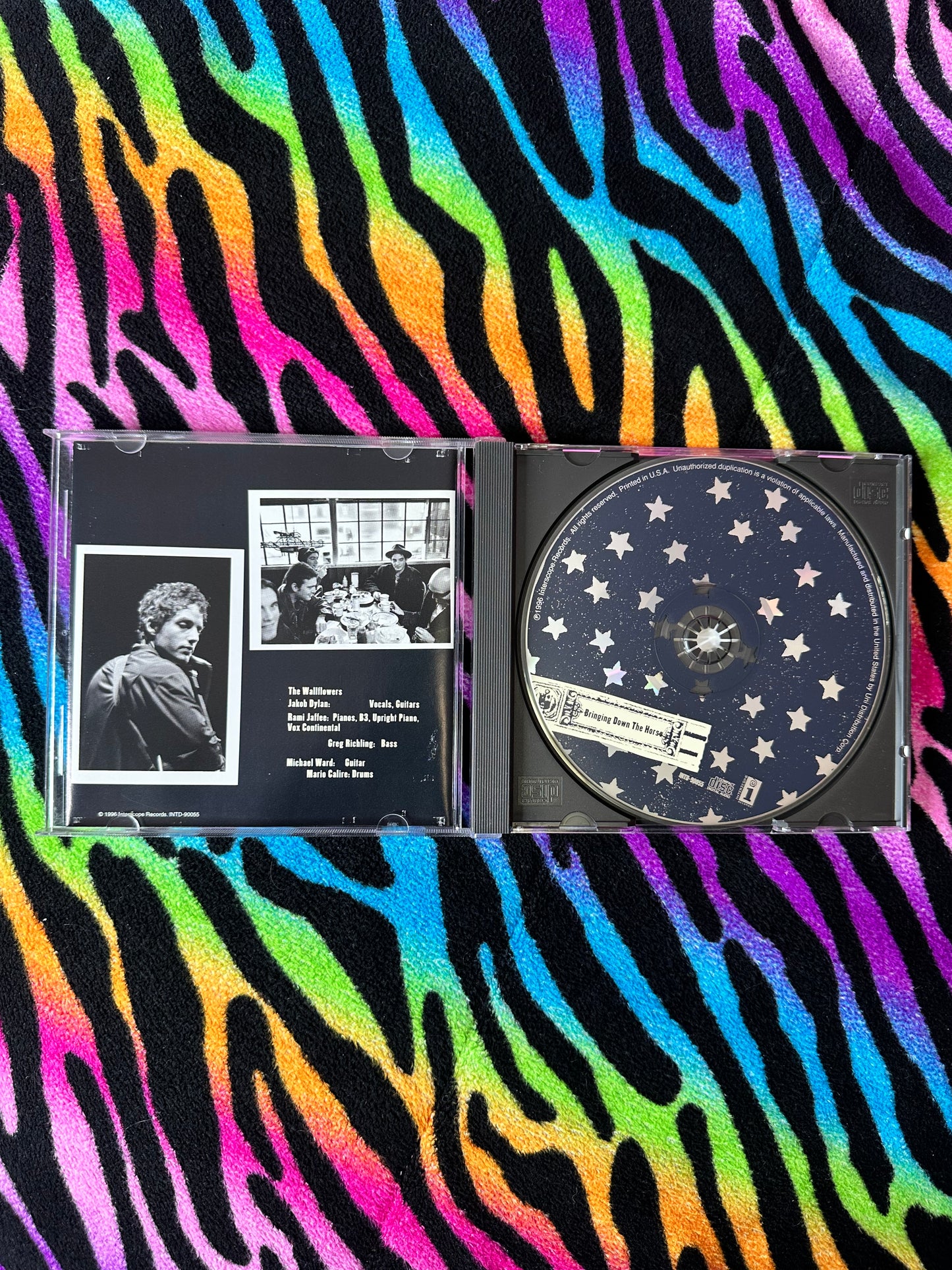 The Wallflowers: Bringing down the horse