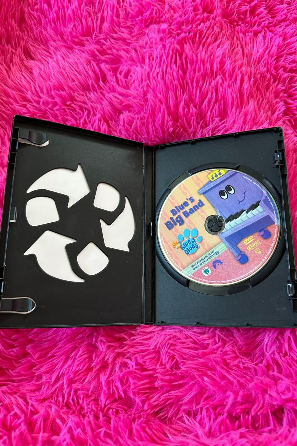 BLUS CLUES: BLUE BIG HAND DVD*