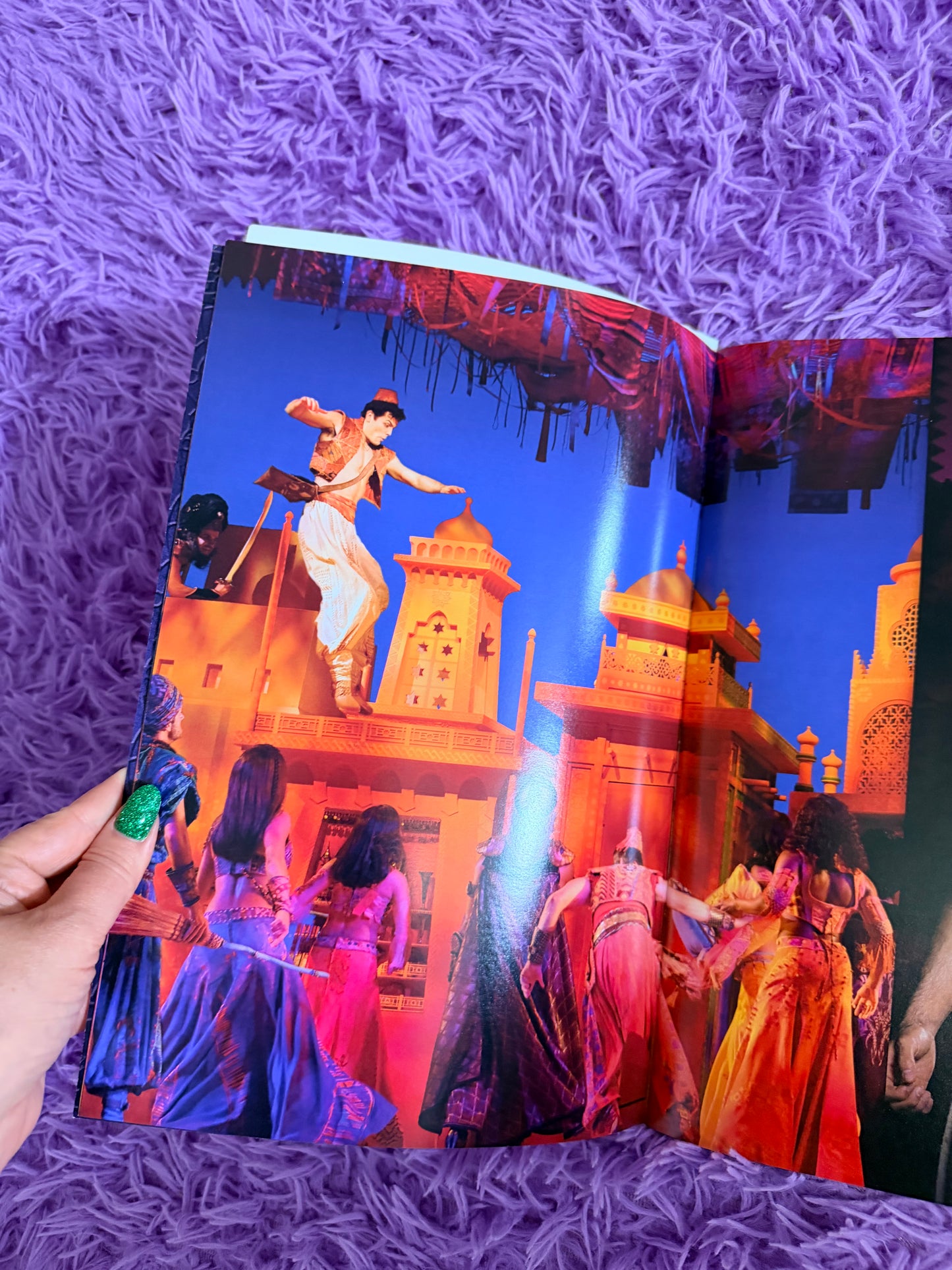 Disneys Aladdin A Whole New World Show book