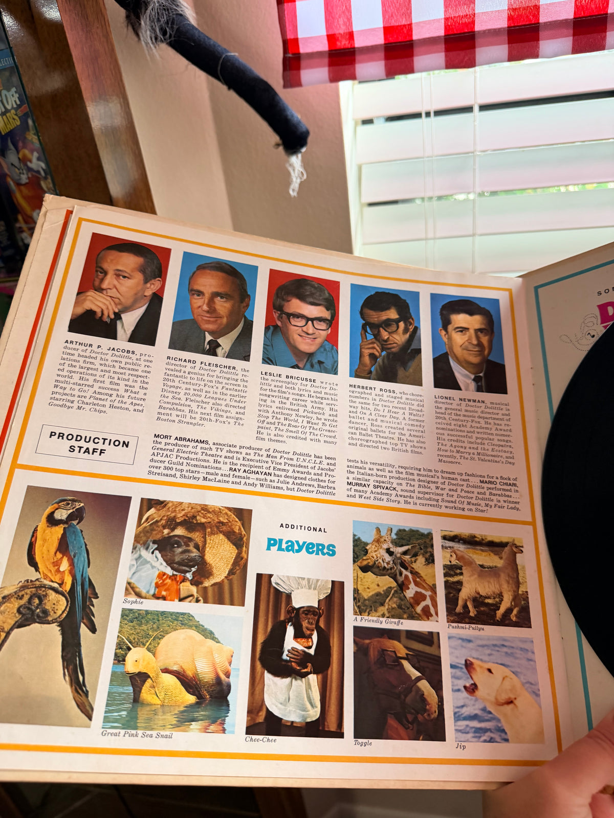 Doctor Dolittle vinyl record