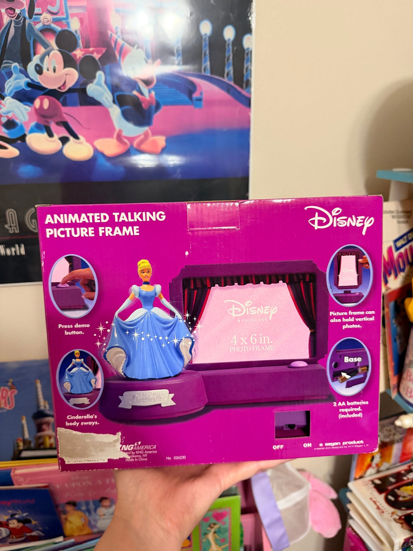 Cinderella animated talking picture frame