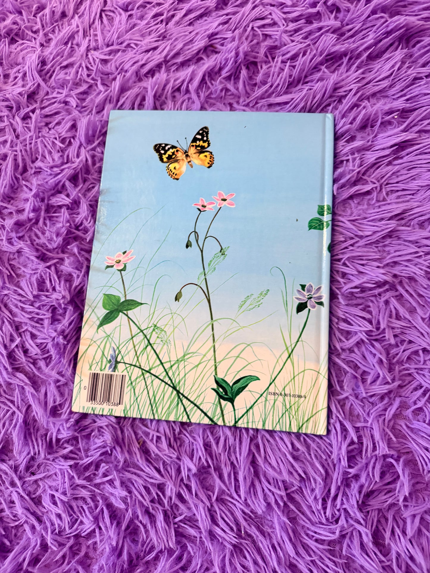 Home for a bunny book 1984