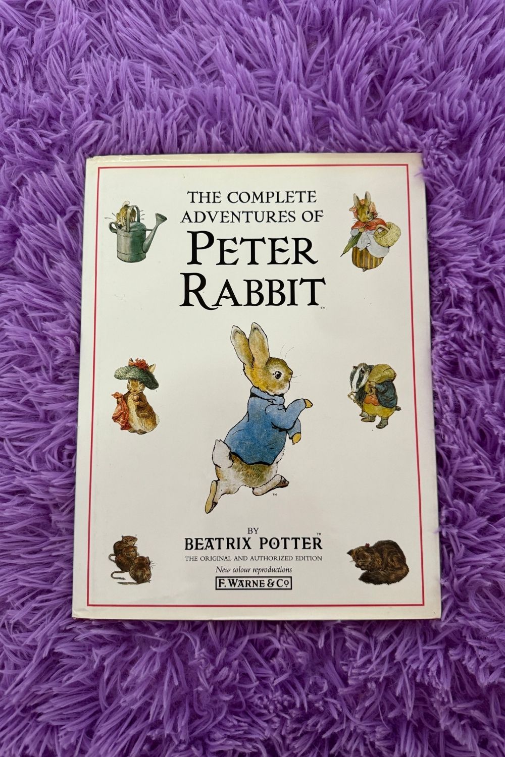 Peter Rbbit Books THE COMPLETE ADVENTURES OF PETER RABBIT BOOK* – Nostalchicks