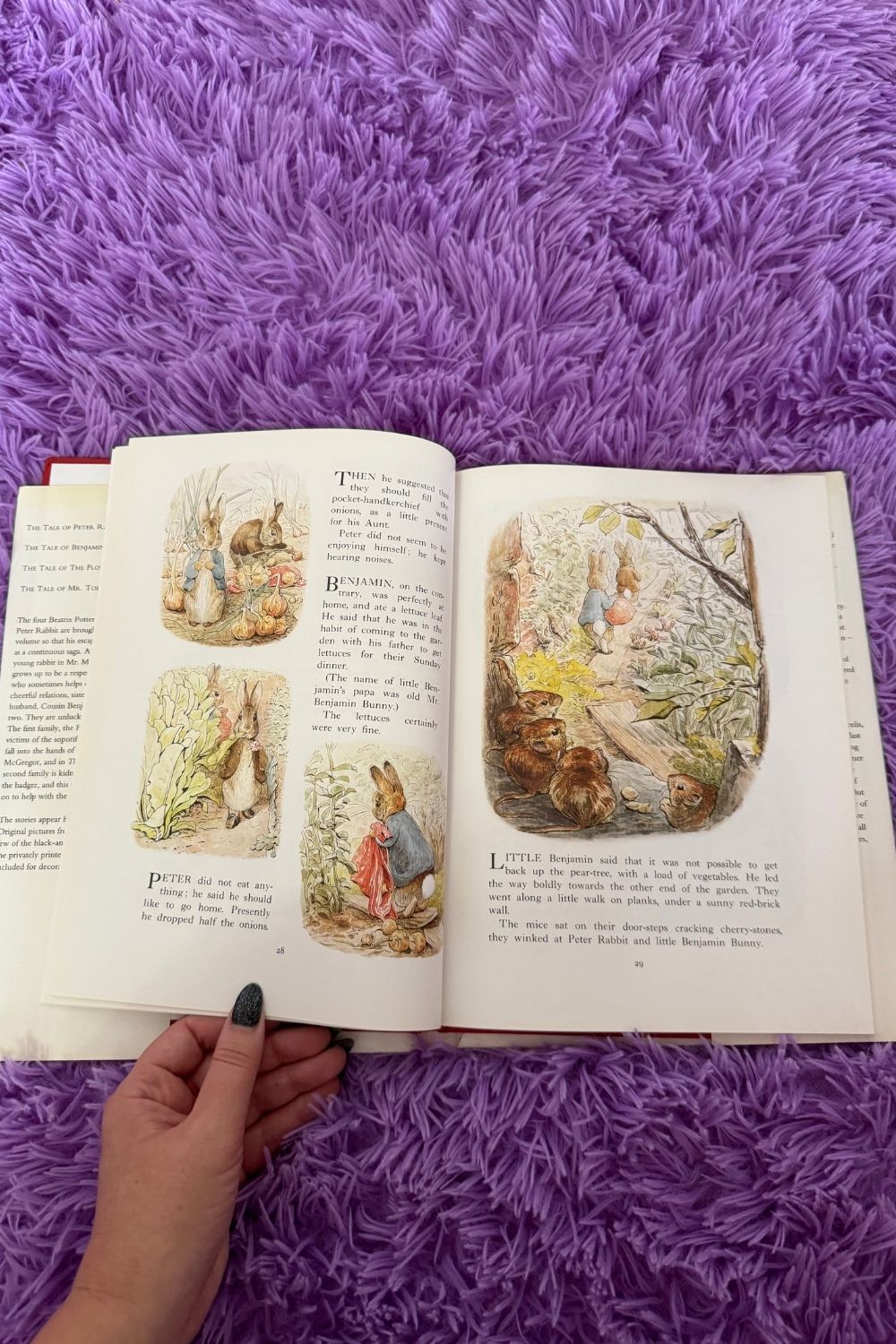 THE COMPLETE ADVENTURES OF PETER RABBIT BOOK*