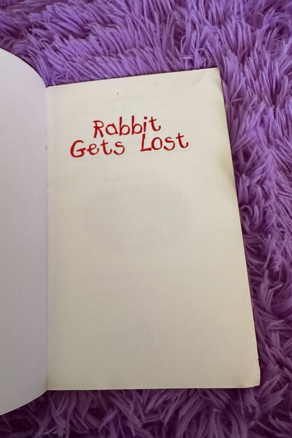 RABBIT GETS LOST BOOK*