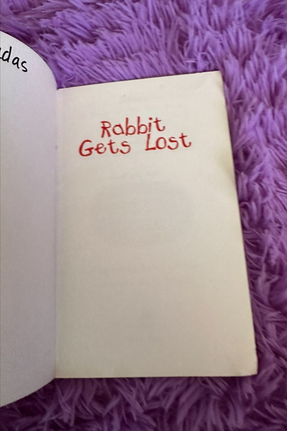 RABBIT GETS LOST BOOK*