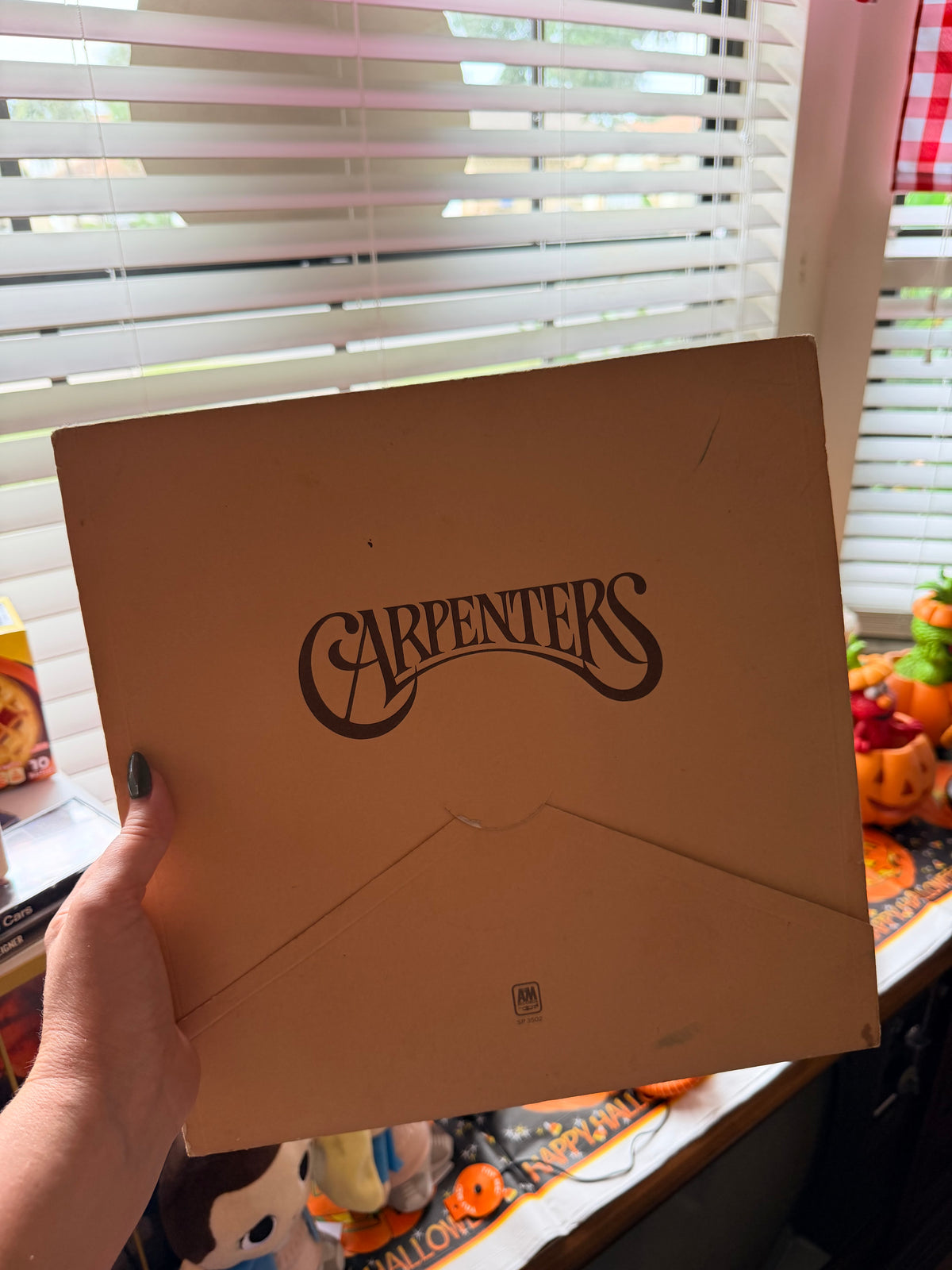 Carpenters vinyl record