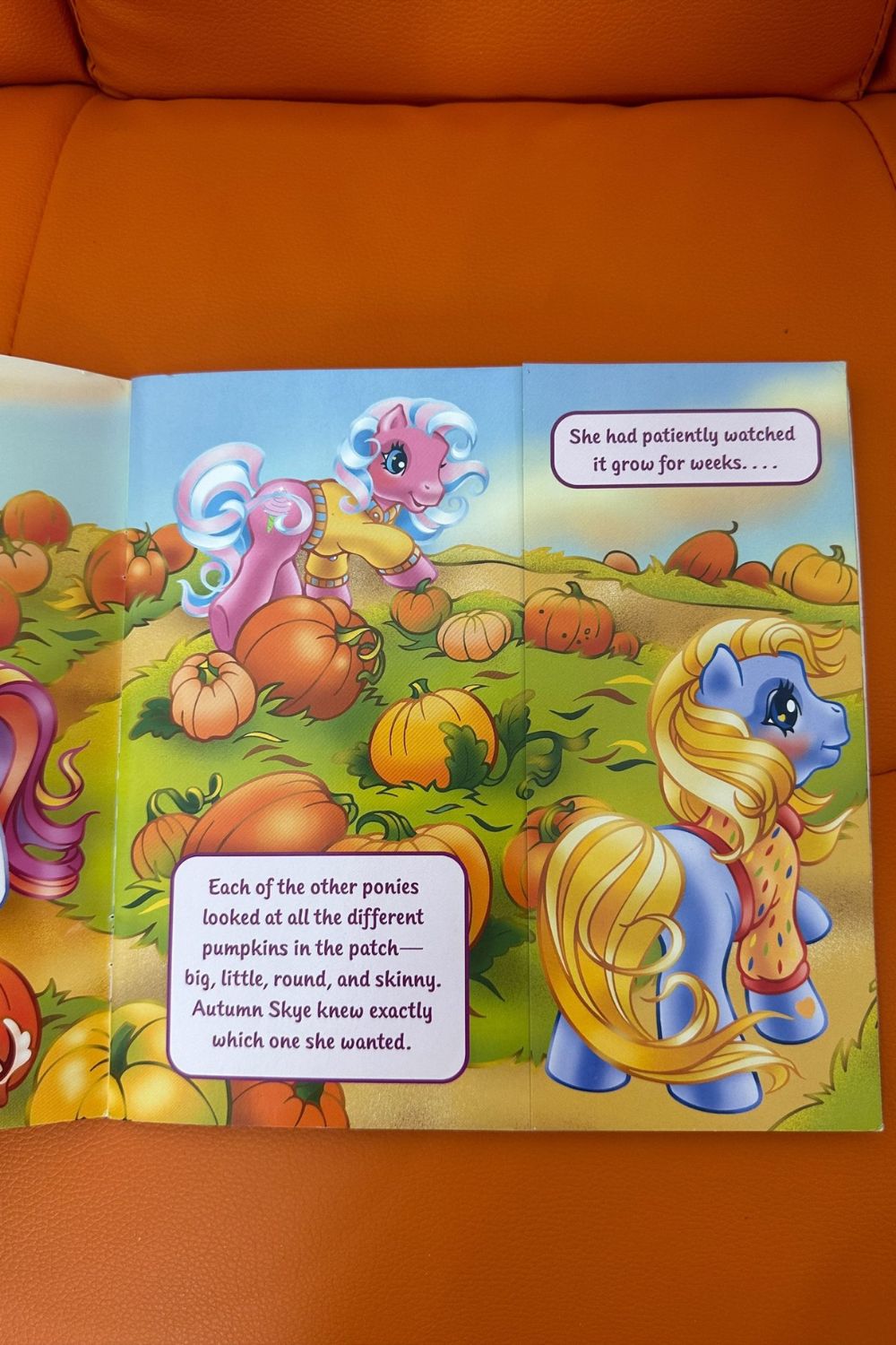 2006 MY LITTLE PONY: THE PERFECT PUMPKIN BOOK*