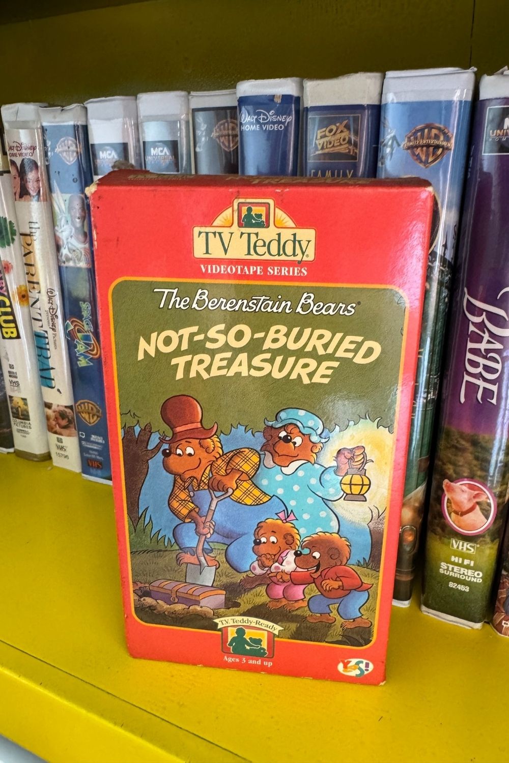 NOT-SO-BURIED TREASURE VHS*