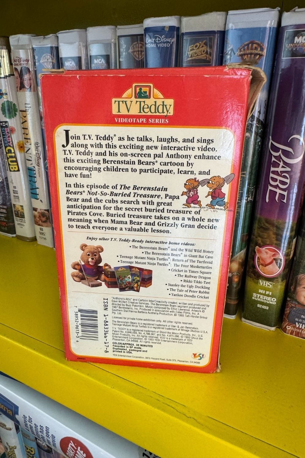 NOT-SO-BURIED TREASURE VHS*