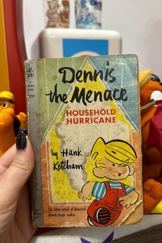 DENNIS THE MENACE- HOUSEHOLD HURRICANE BOOK*