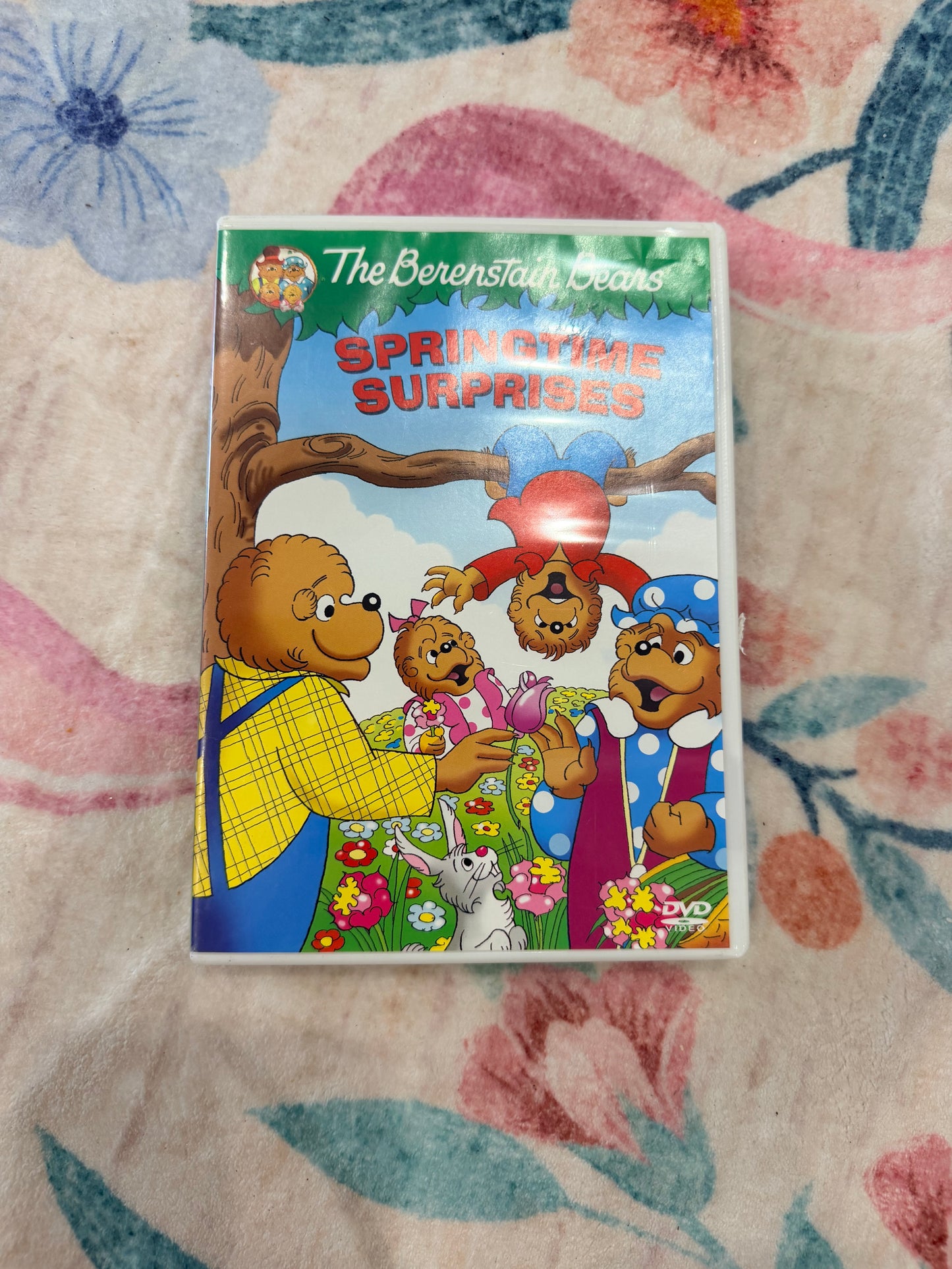 Berenstain bears springtime surprises dvd