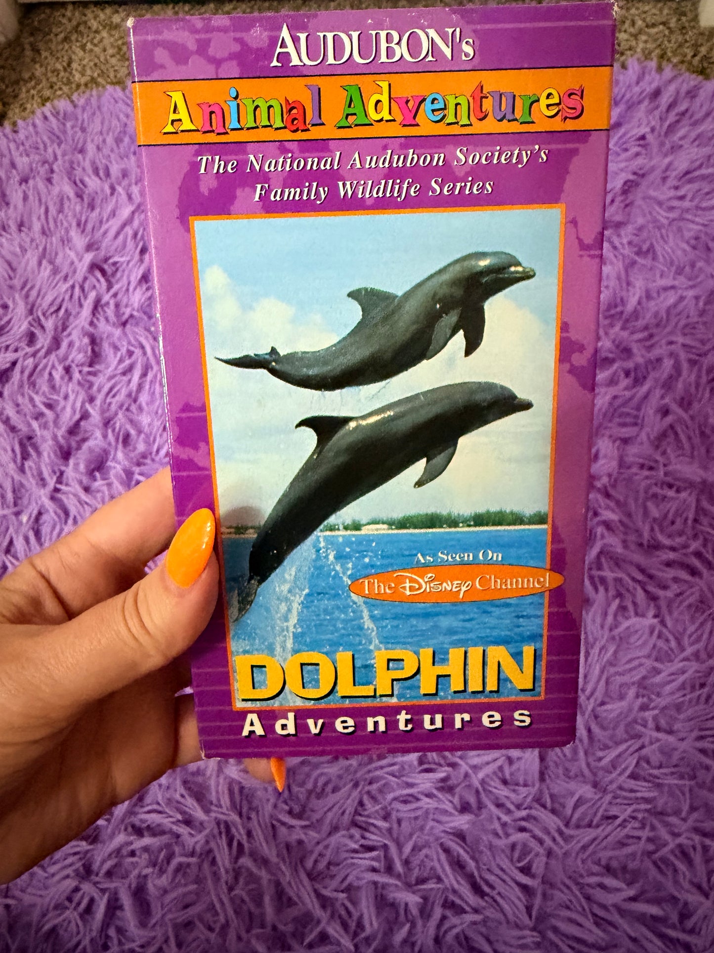 Dolphin Adventures vhs
