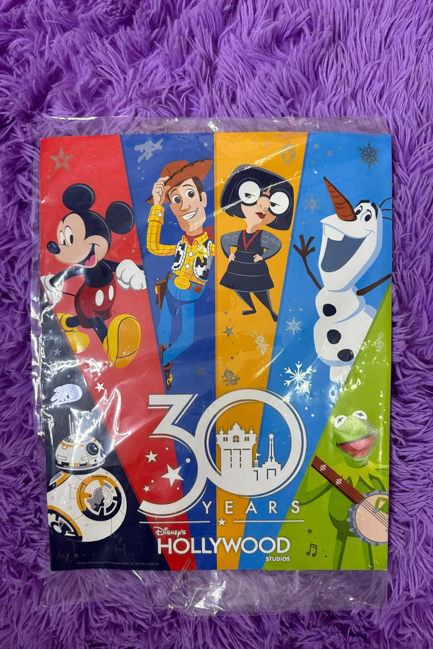 DISNEY HOLLYWOOD STUDIOS 30TH ANNIVERSARY 2019 COMERATIVE POSTER*