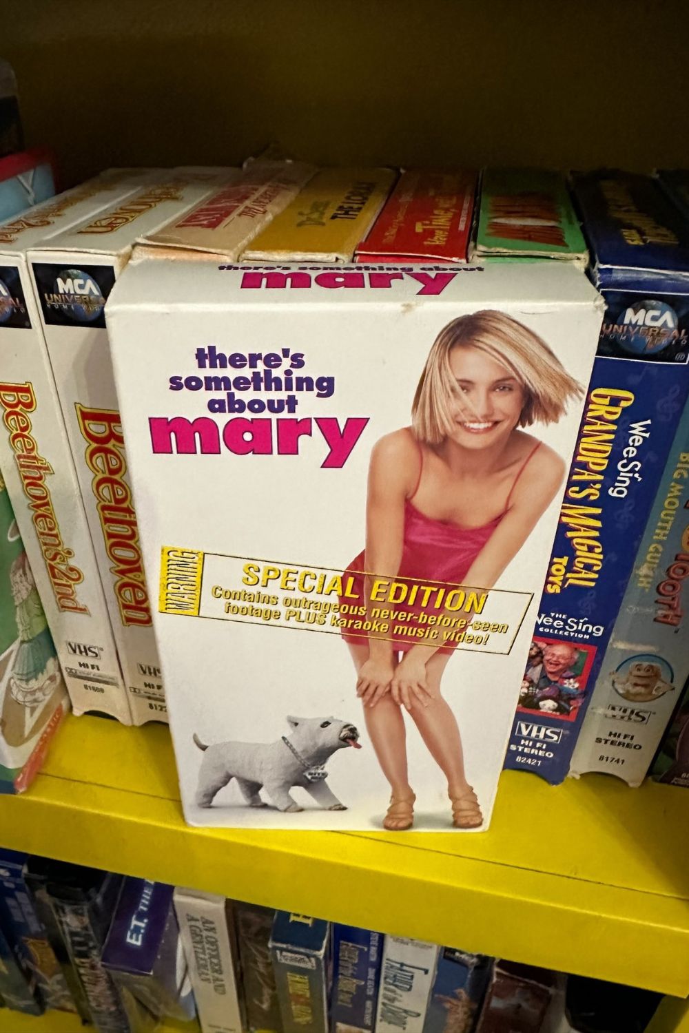 1999 THERE'S SOMETHING ABOUT MARY VHS*