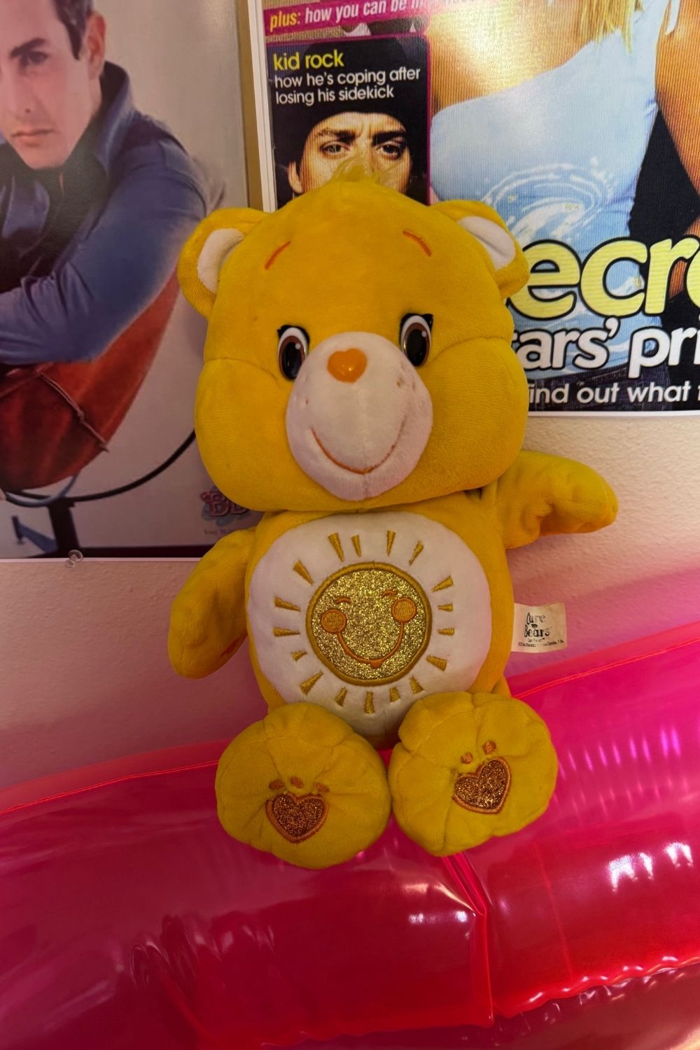 2015 TALKING SUNSHINE CARE BEAR*