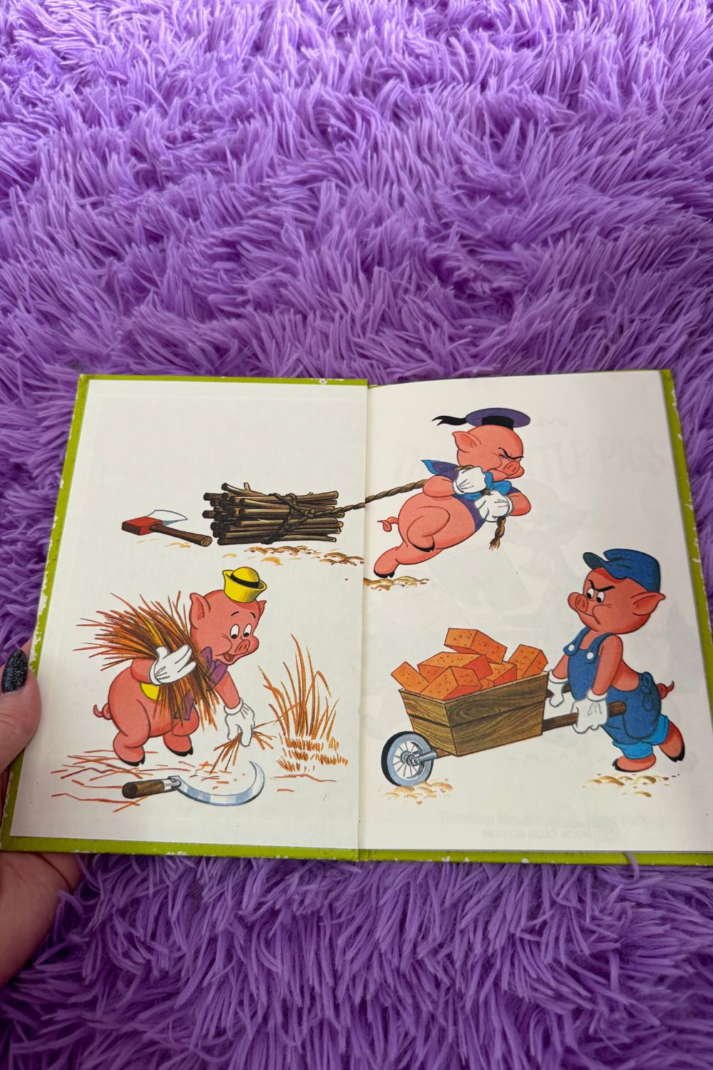 THE THREE LITTLE PIGS BOOK*