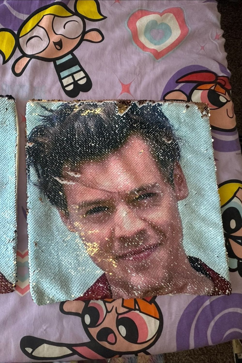 HARRY STYLES THROW PILLOW COVER SET*