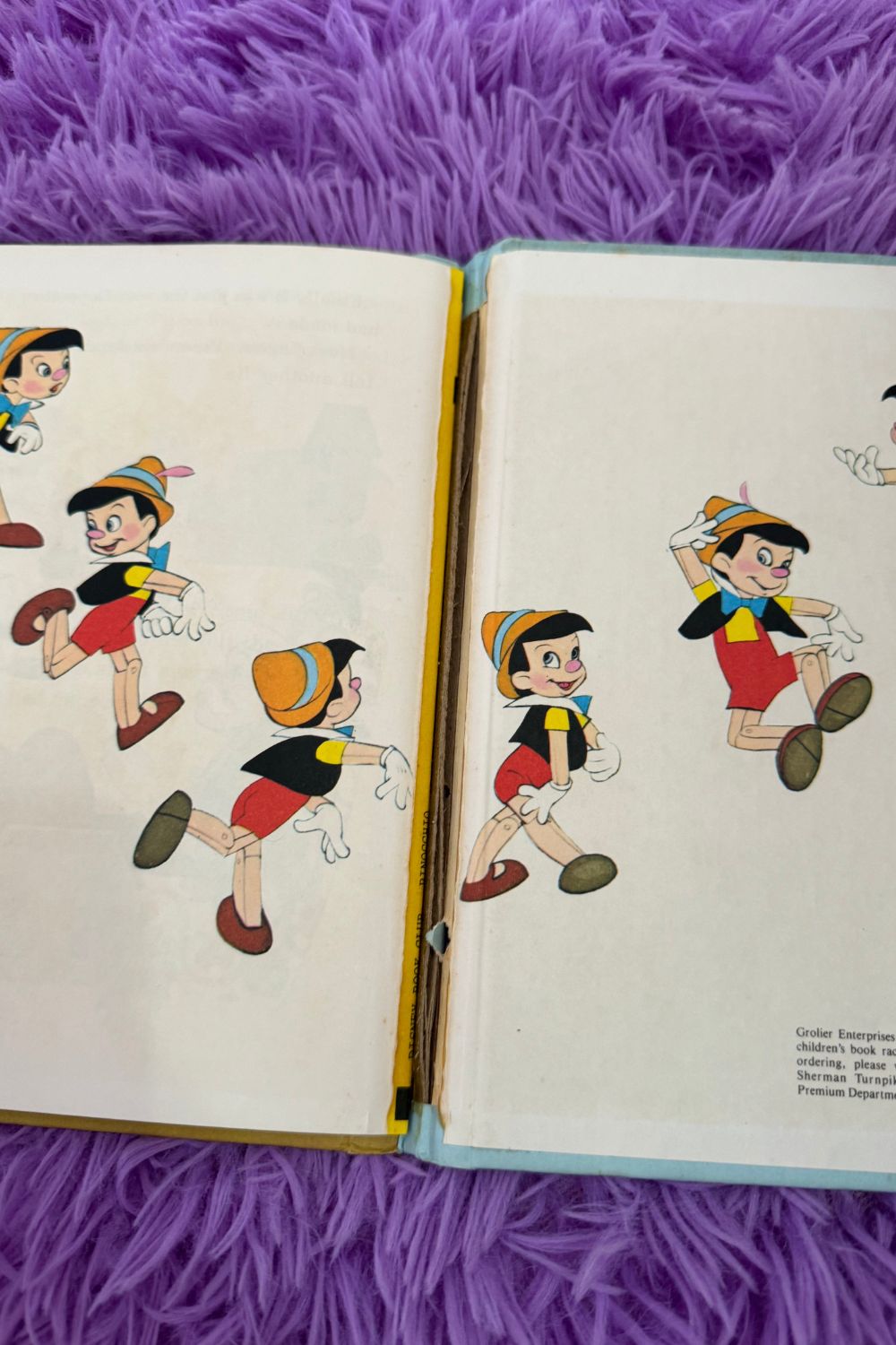 PINOCCHIO AND HIS PUPPET BOOK*