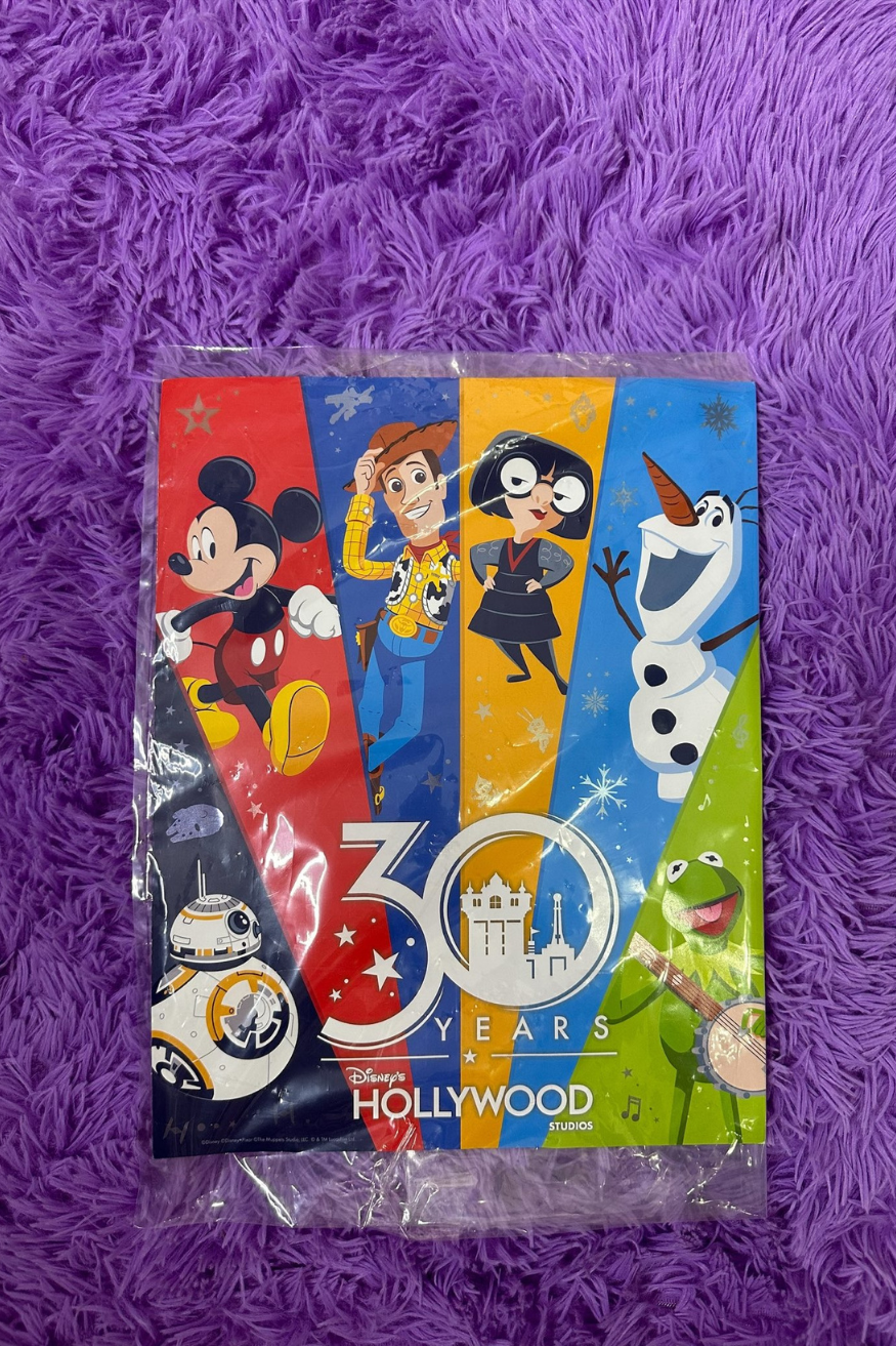 DISNEY HOLLYWOOD STUDIOS 30TH ANNIVERSARY 2019 COMERATIVE POSTER*