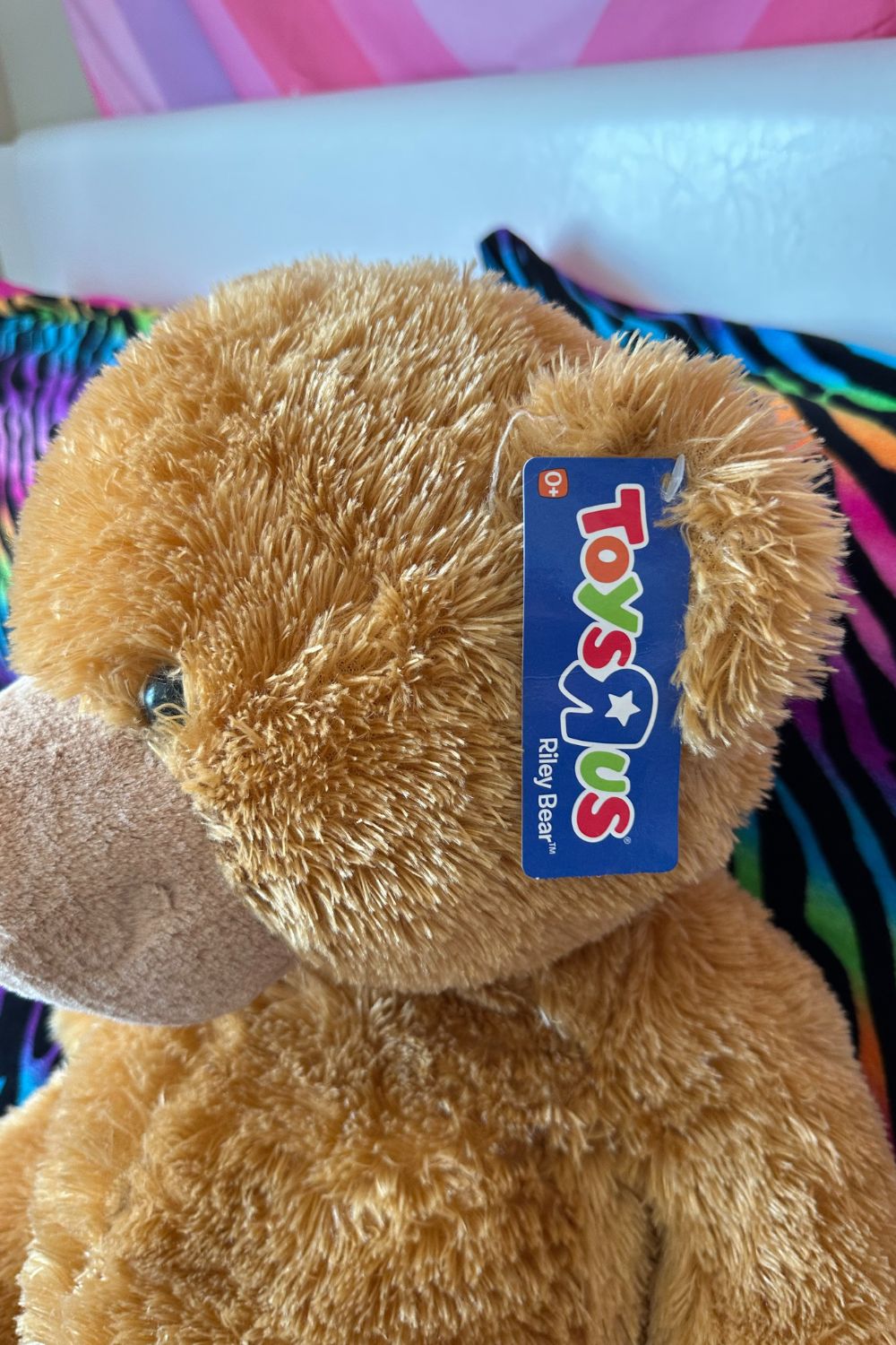 2010 TOYS R US RILEY BEAR - WITH TAGS*