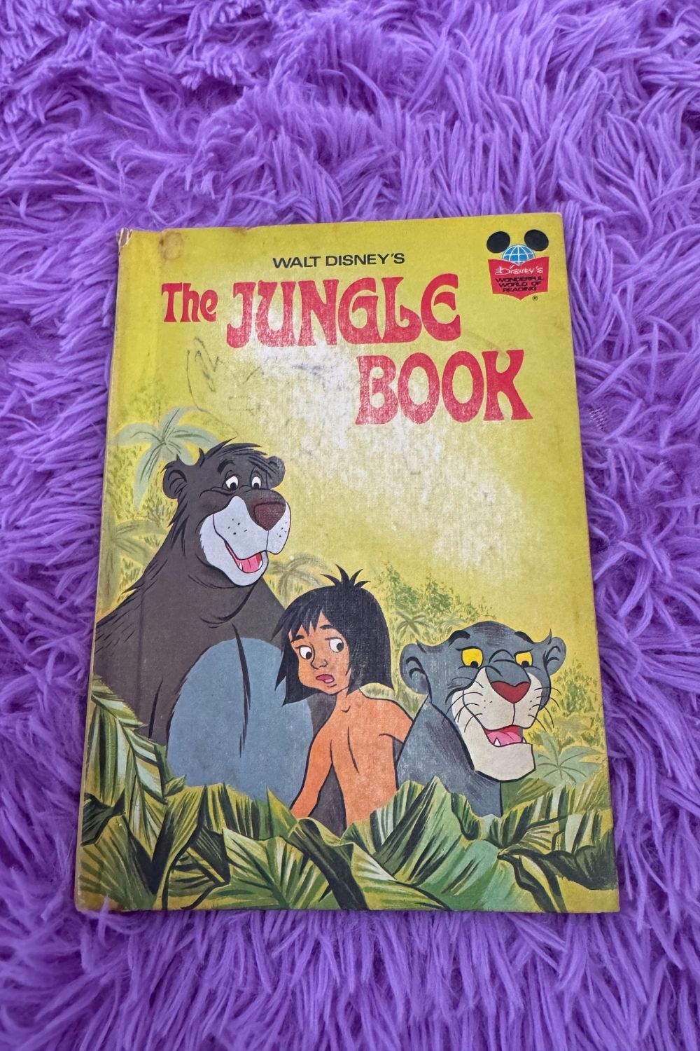 THE JUNGLE BOOK BOOK*