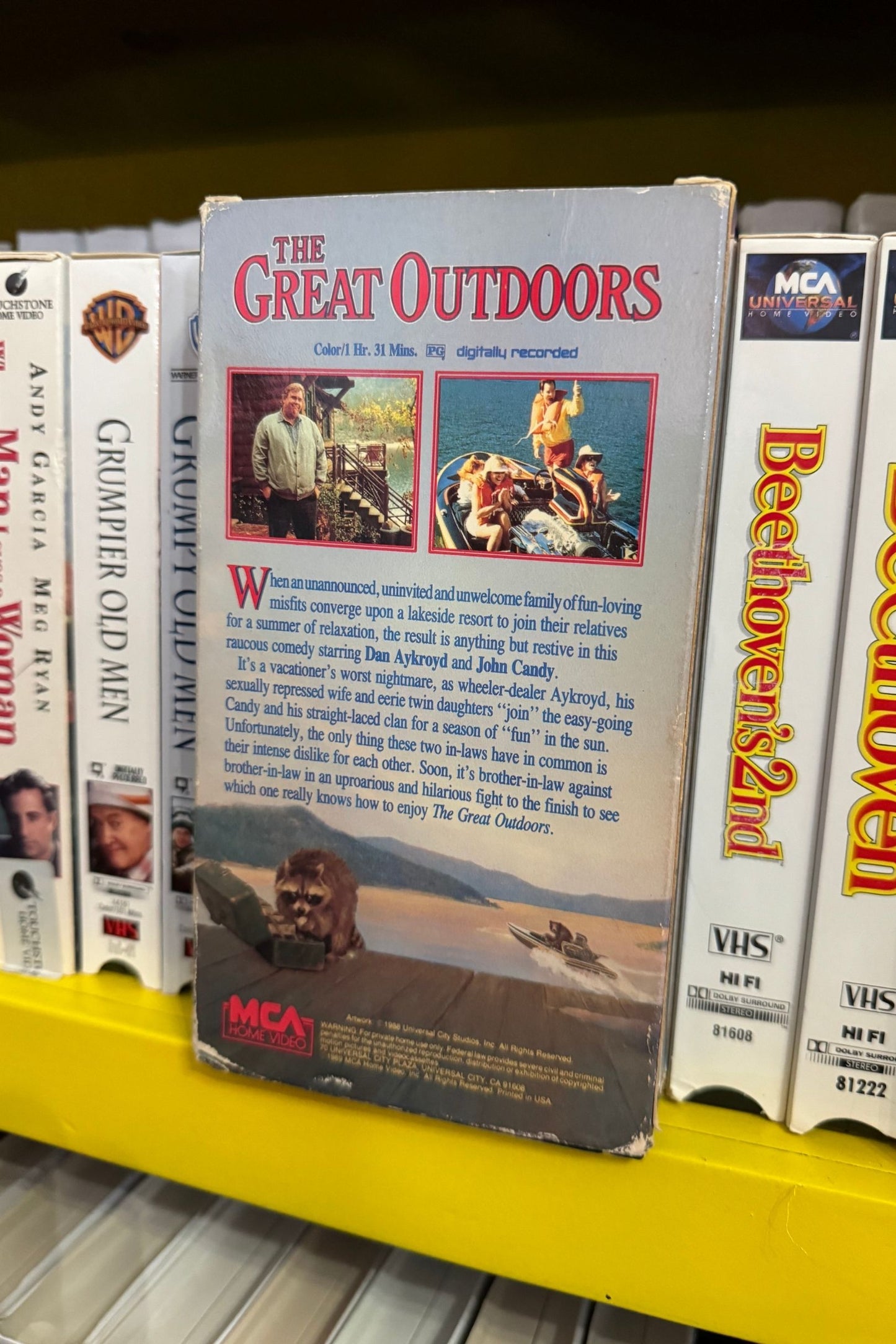 THE GREAT INDOORS MOVIE VHS*