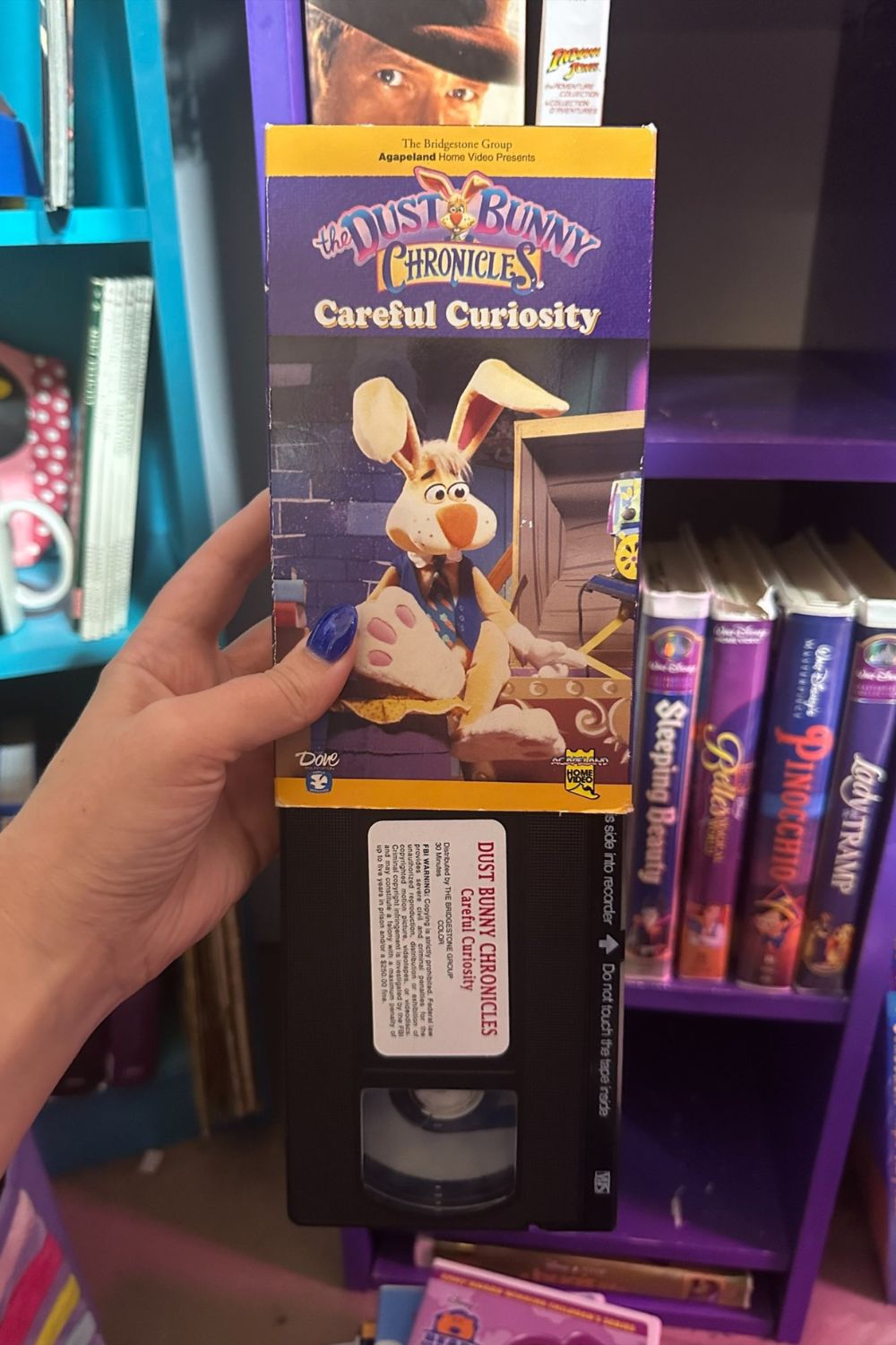 THE DUST BUNNY CHRONICLES VHS*