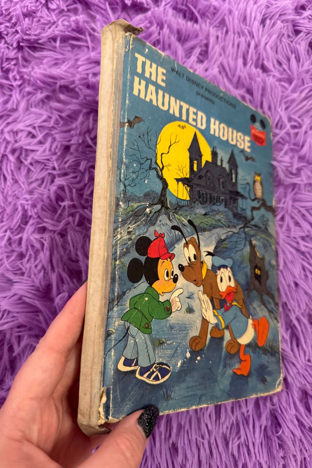 THE HAUNTED HOUSE BOOK*