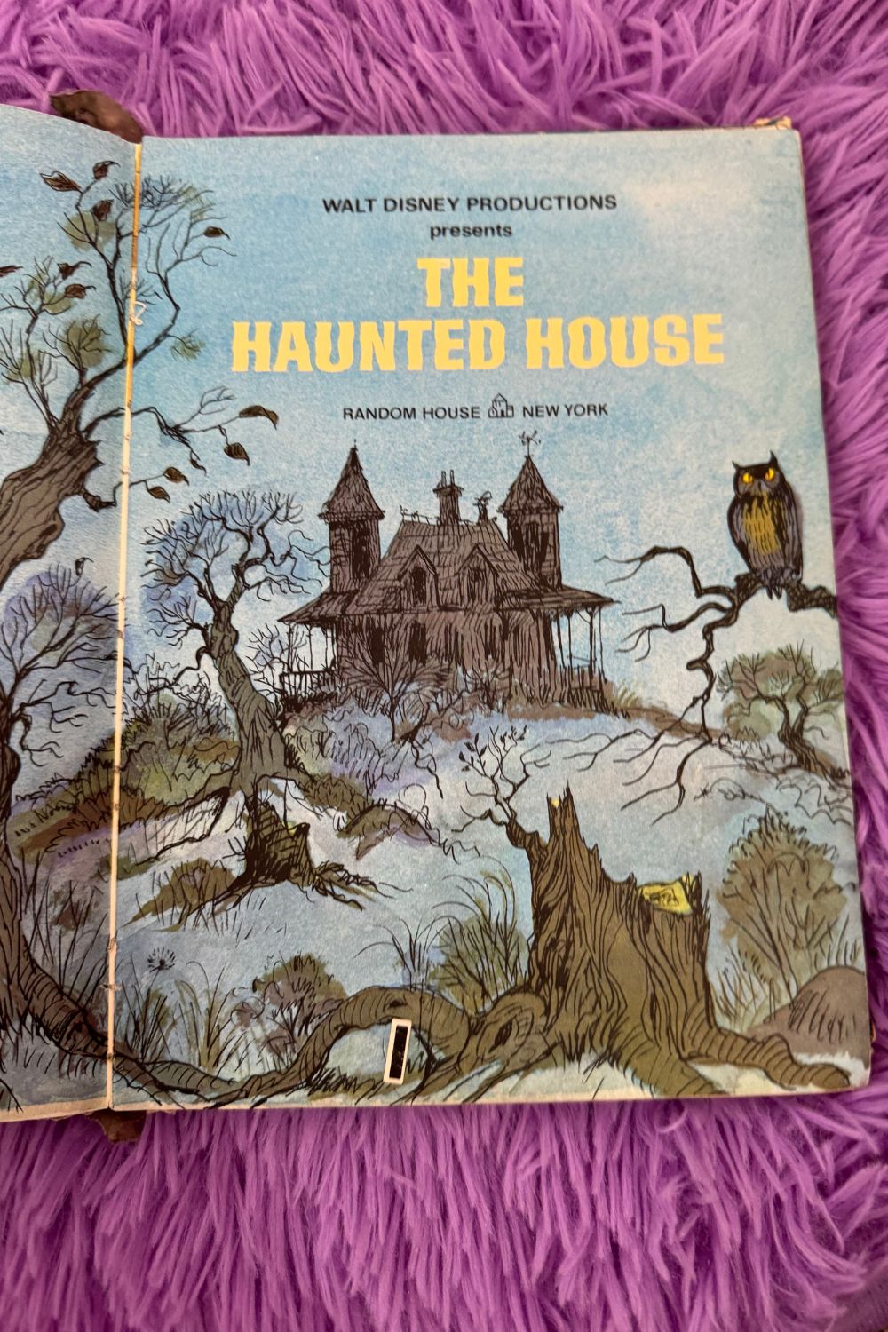 THE HAUNTED HOUSE BOOK*