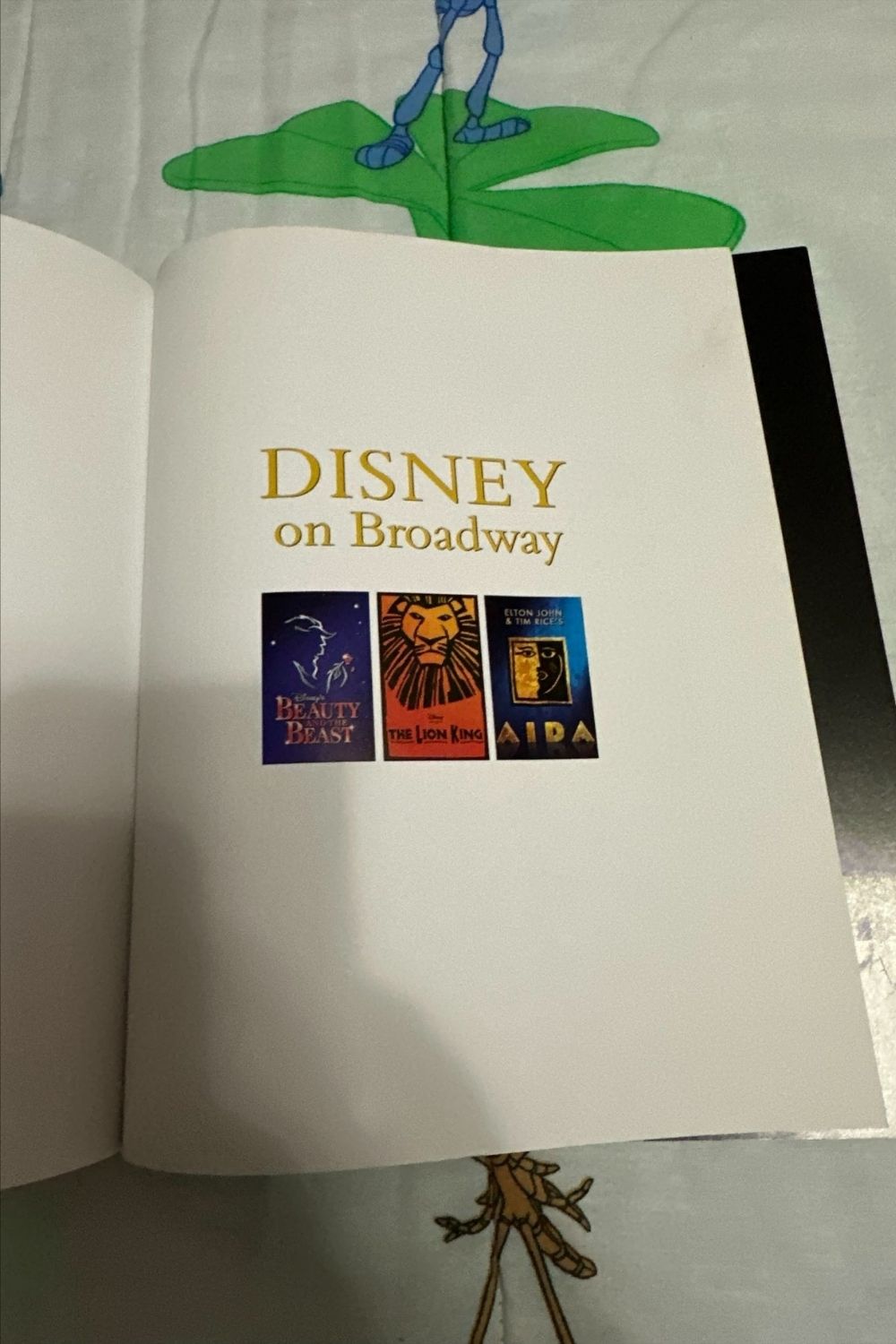 DISNEY ON BROADWAY BOOK*