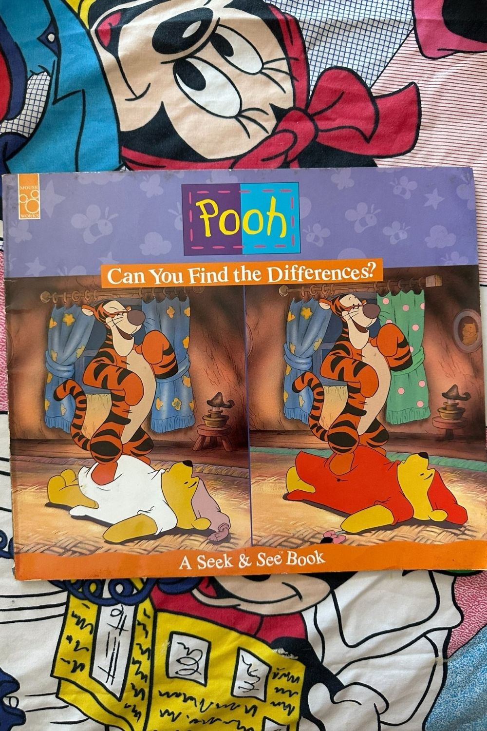 POOH CAN YOU FIND THE DIFFERENCES BOOK*