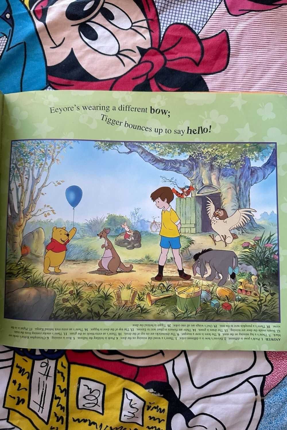 POOH CAN YOU FIND THE DIFFERENCES BOOK*