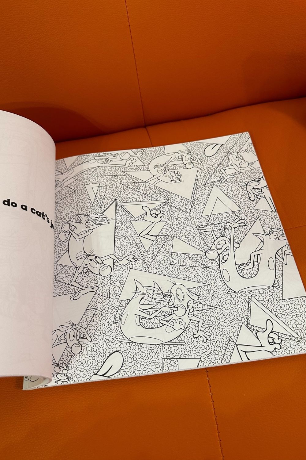 THE SPLAT COLORING BOOK*