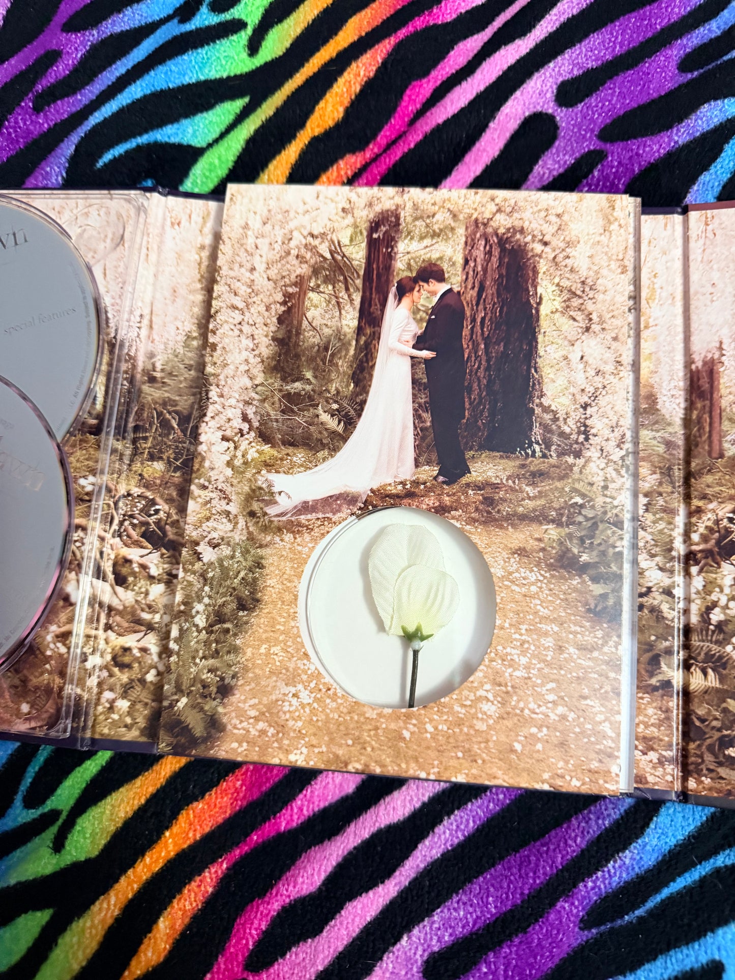 The Twilight Saga breaking Dawn part 1