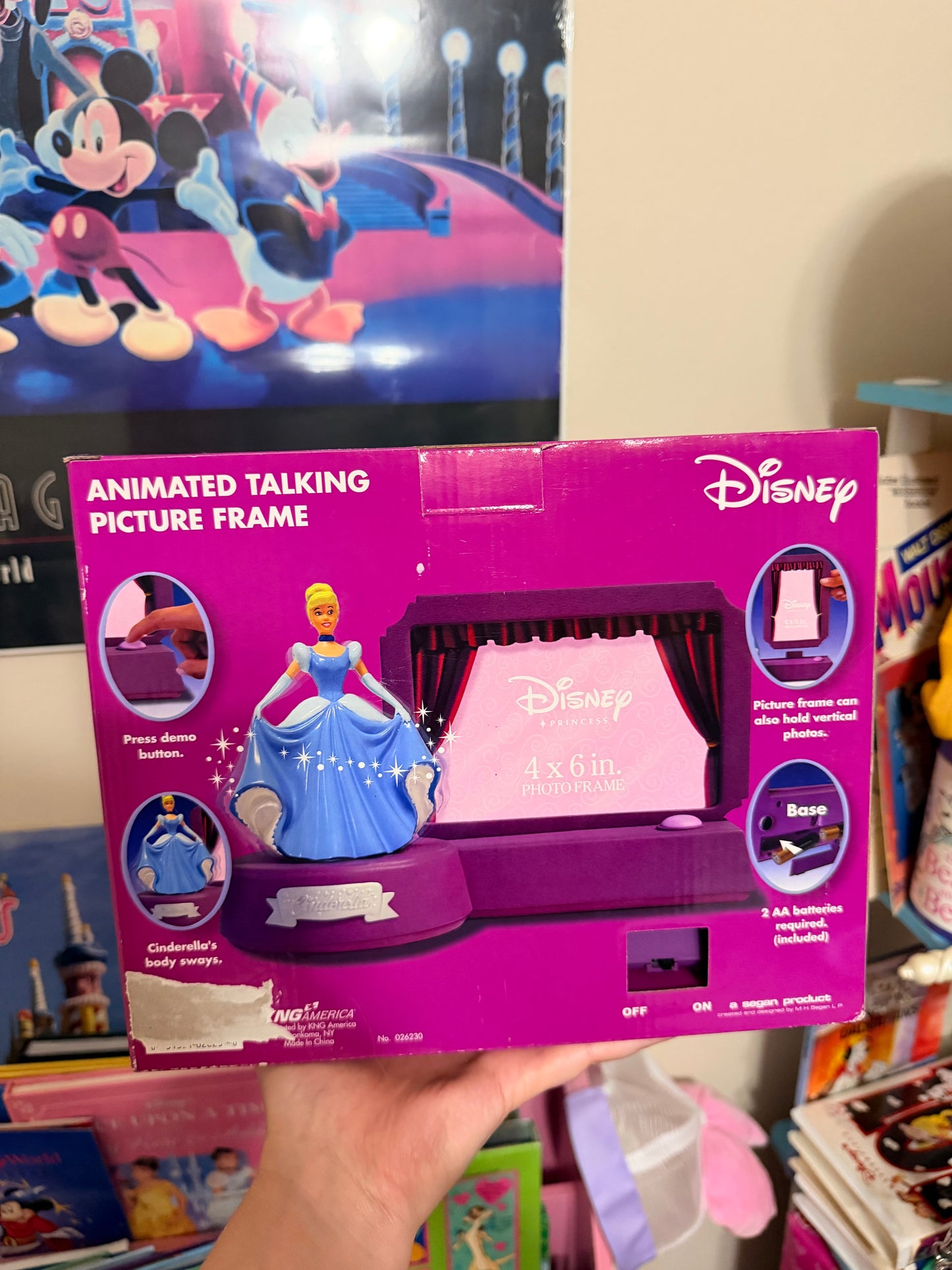 Cinderella animated talking picture frame