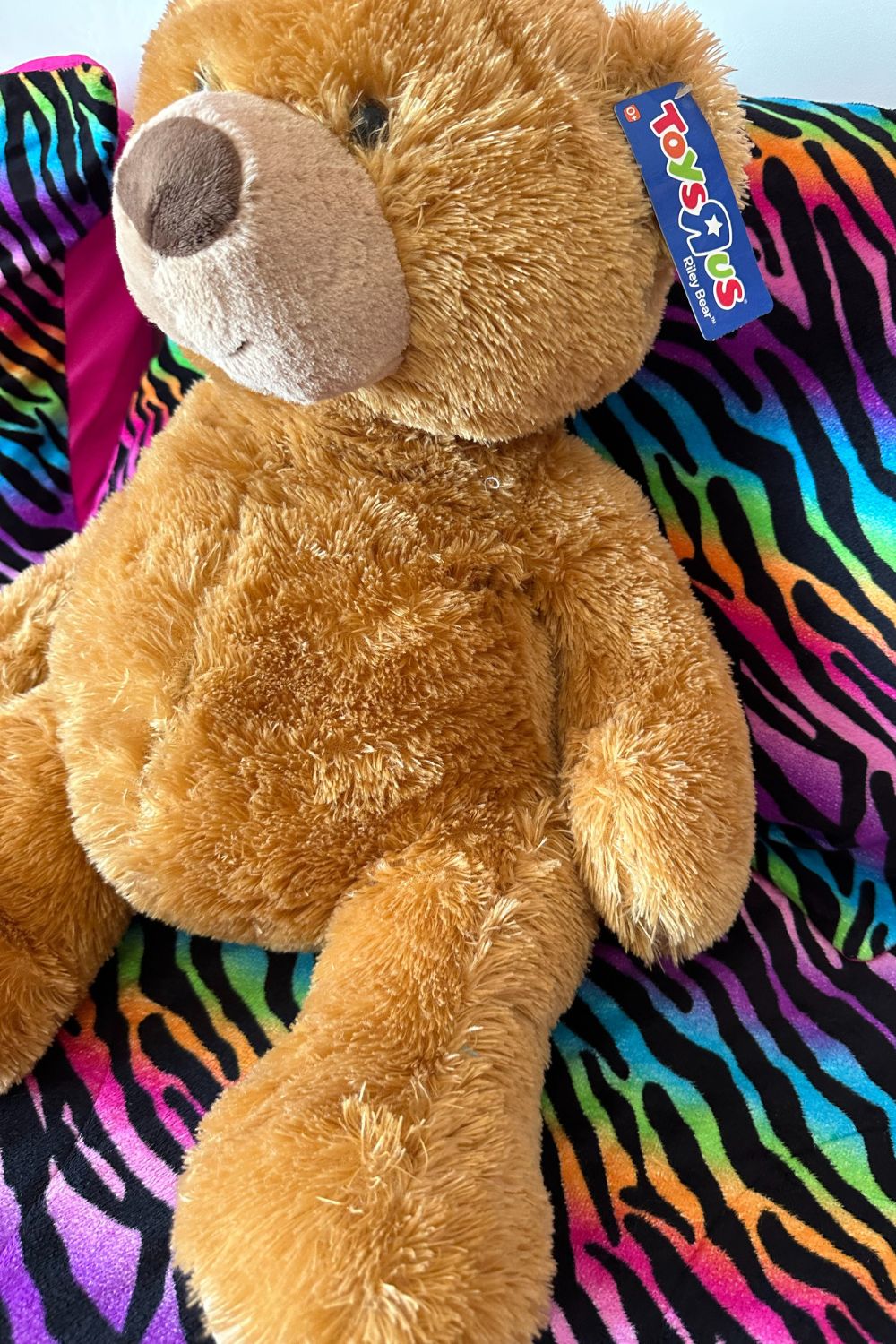 2010 TOYS R US RILEY BEAR - WITH TAGS*