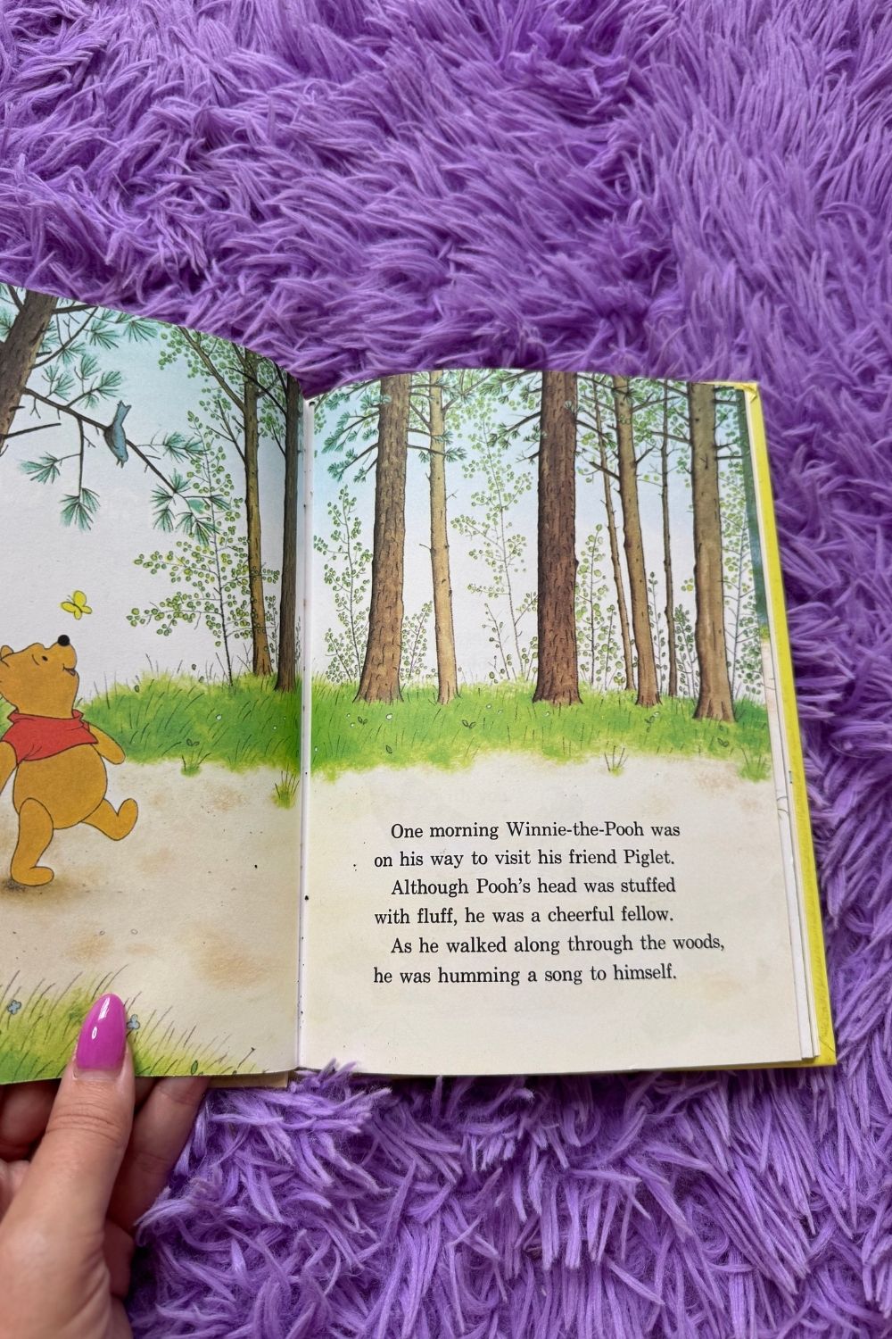 WINNIE THE POOH AND TIGER TOO BOOK*