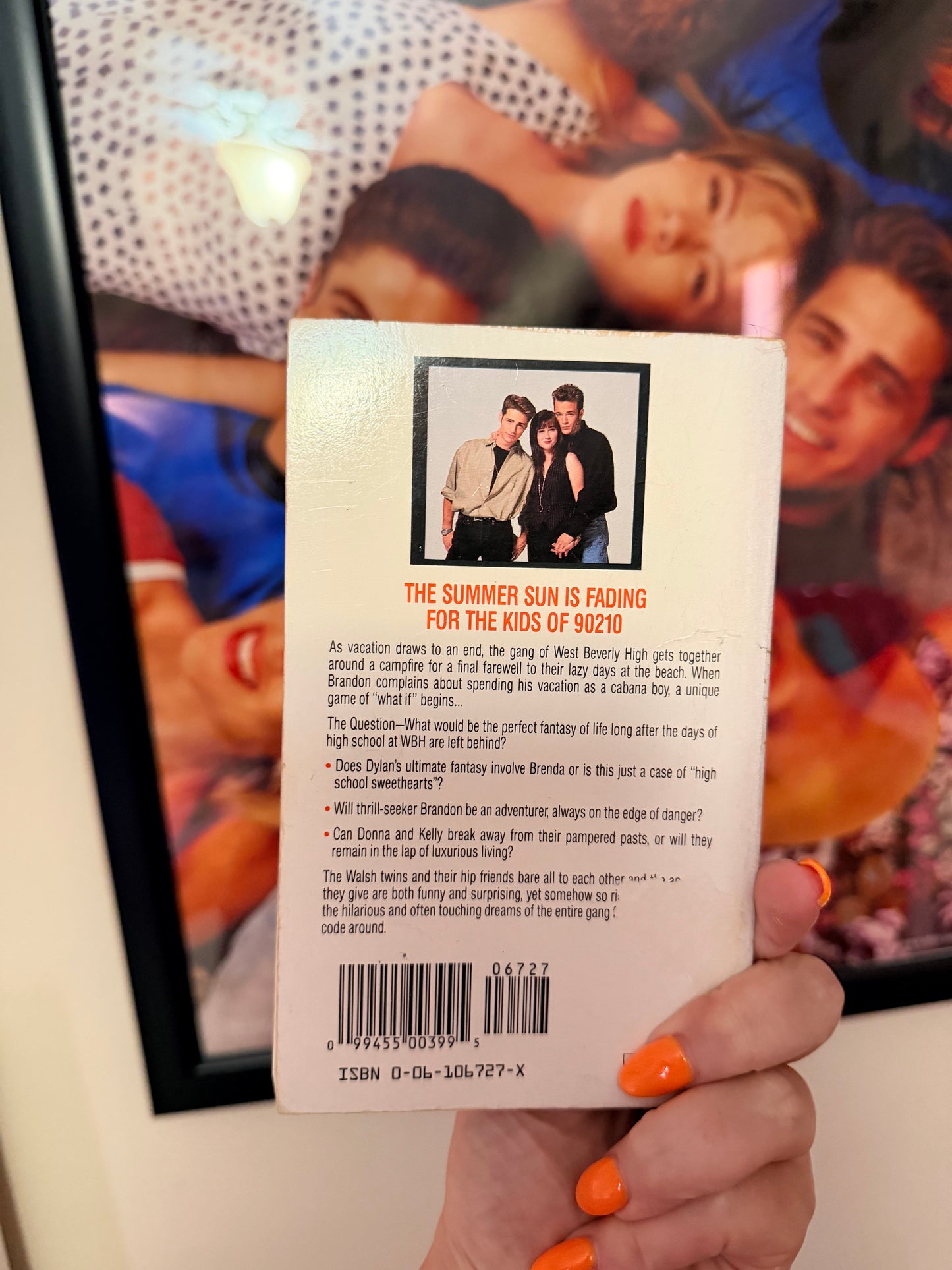 90210 fantasies book