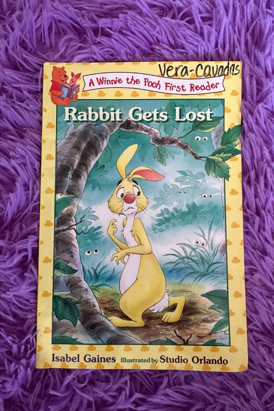 RABBIT GETS LOST BOOK*