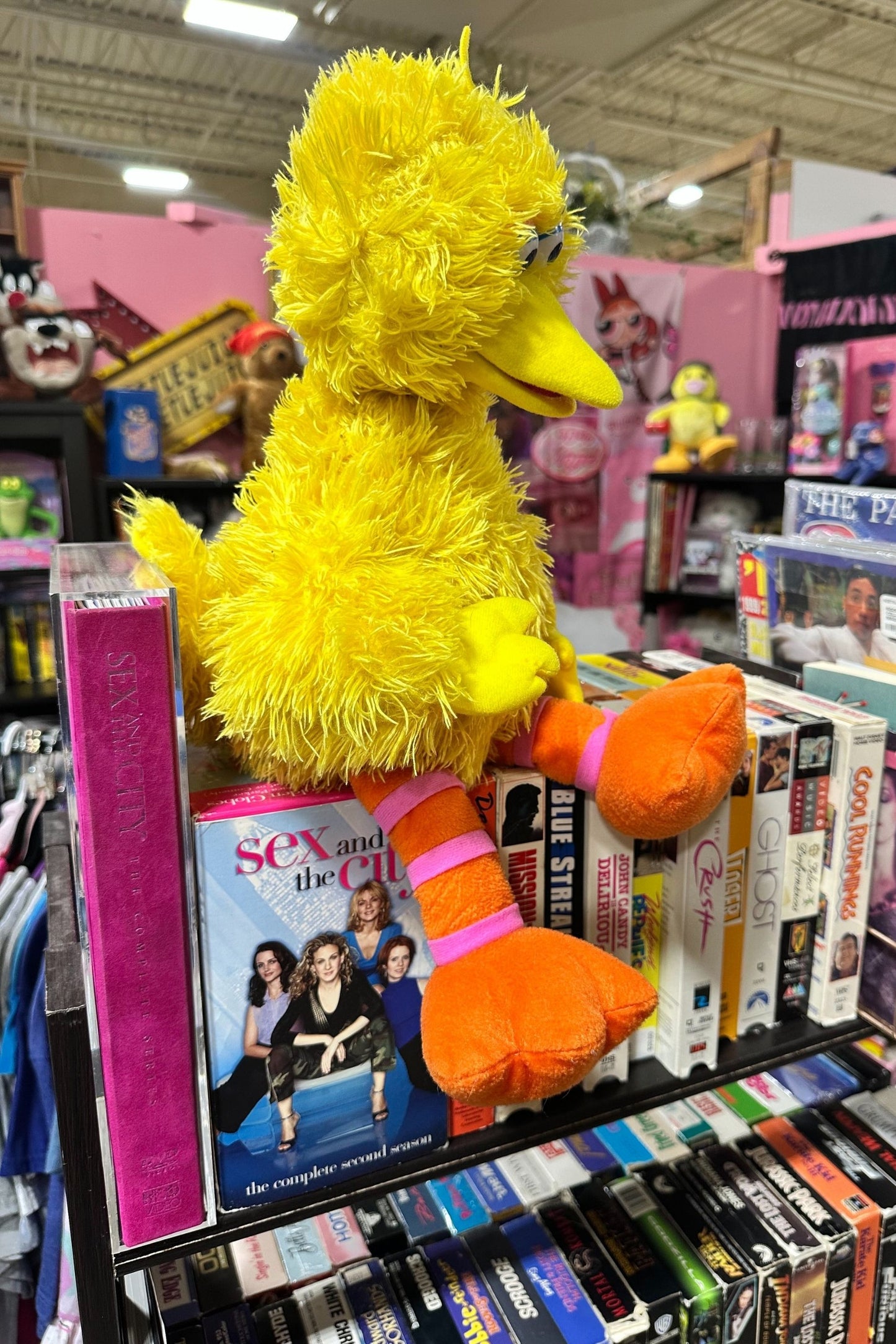 BIG BIRD PLUSH*