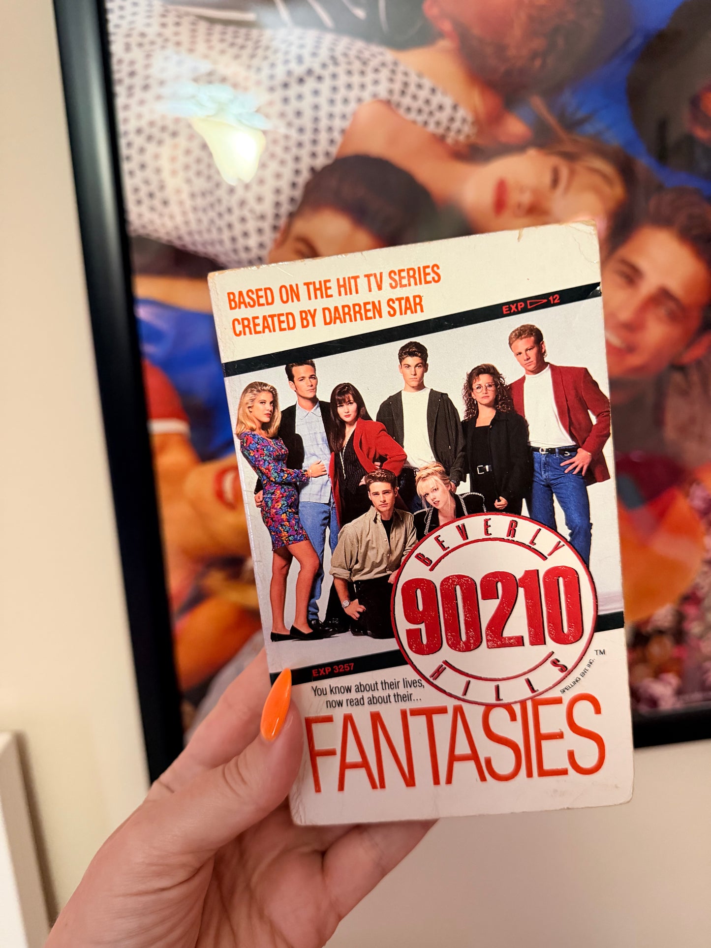 90210 fantasies book