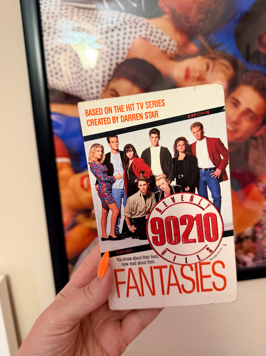 90210 fantasies book