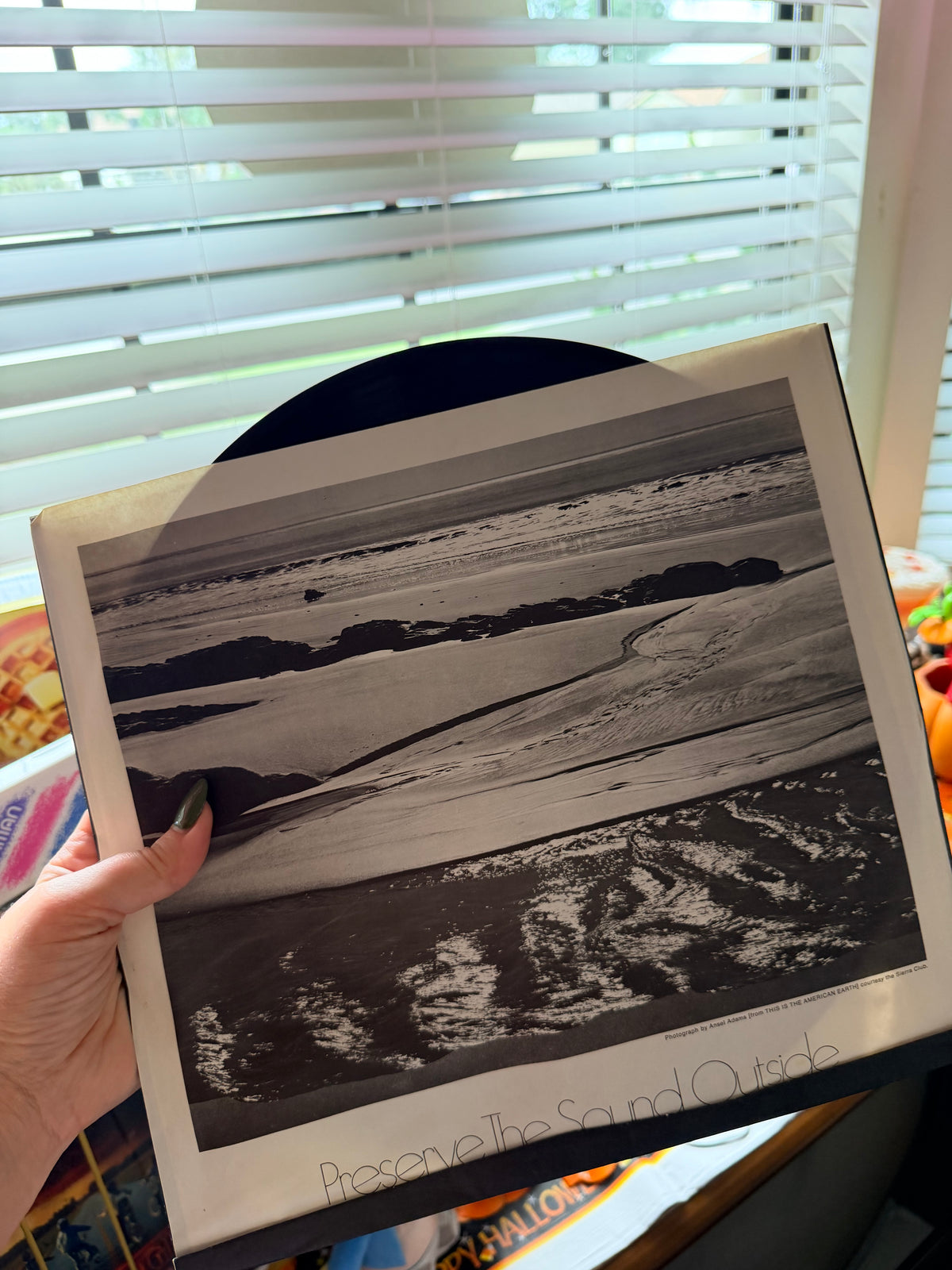 Carpenters vinyl record