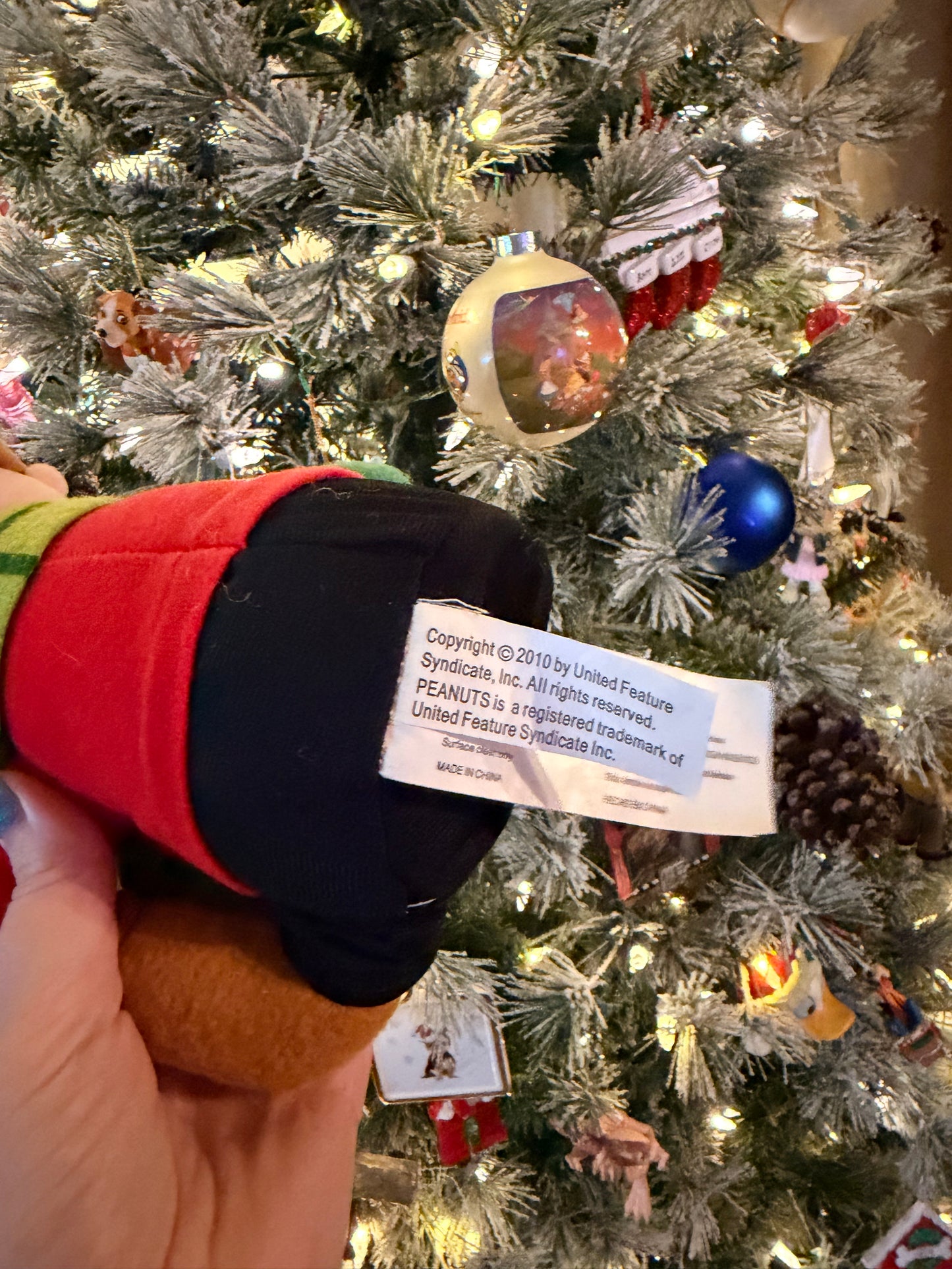 2010 Charlie Brown Plush